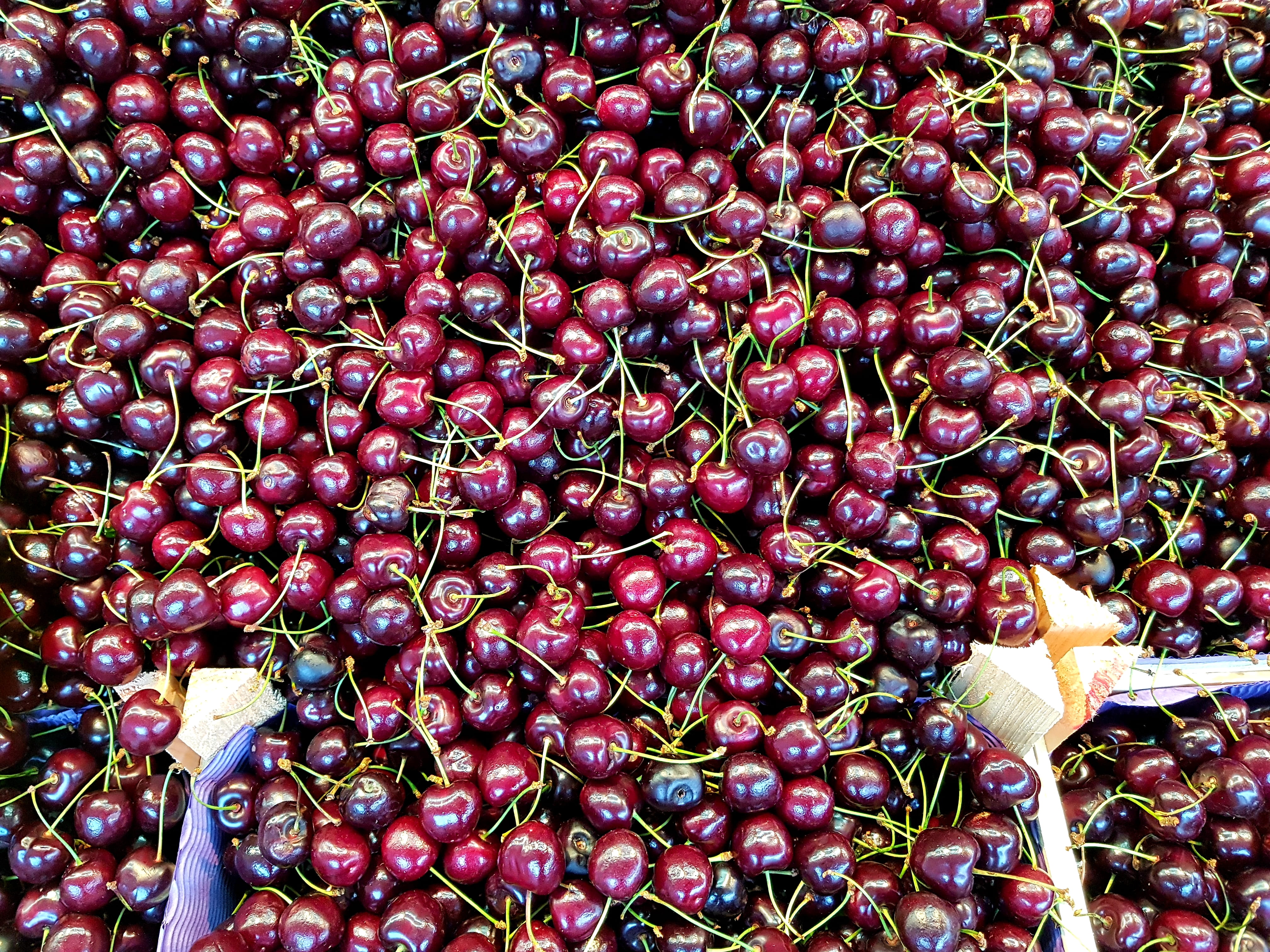 nature, super food, backgrounds, red, no people, for sale, food and drink, spice, still life, ripe, high angle view, elmshorn, cherries, day, marketplace, HD Wallpaper