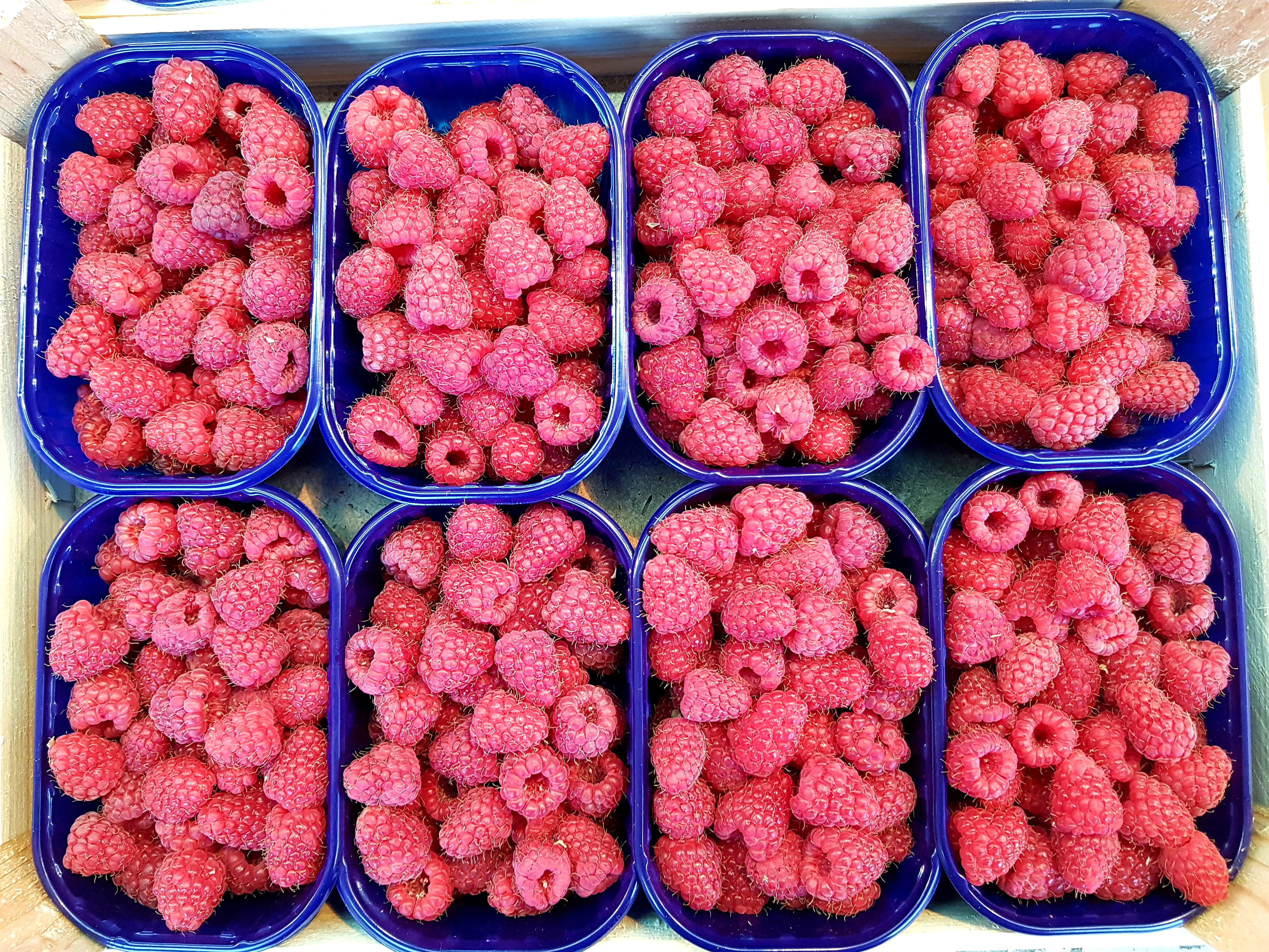 4K, germany, market stall, fruit, freshness, retail, choice, market, raspberries, berry fruit, container, red, side by side, healthy eating, no people, HD Wallpaper