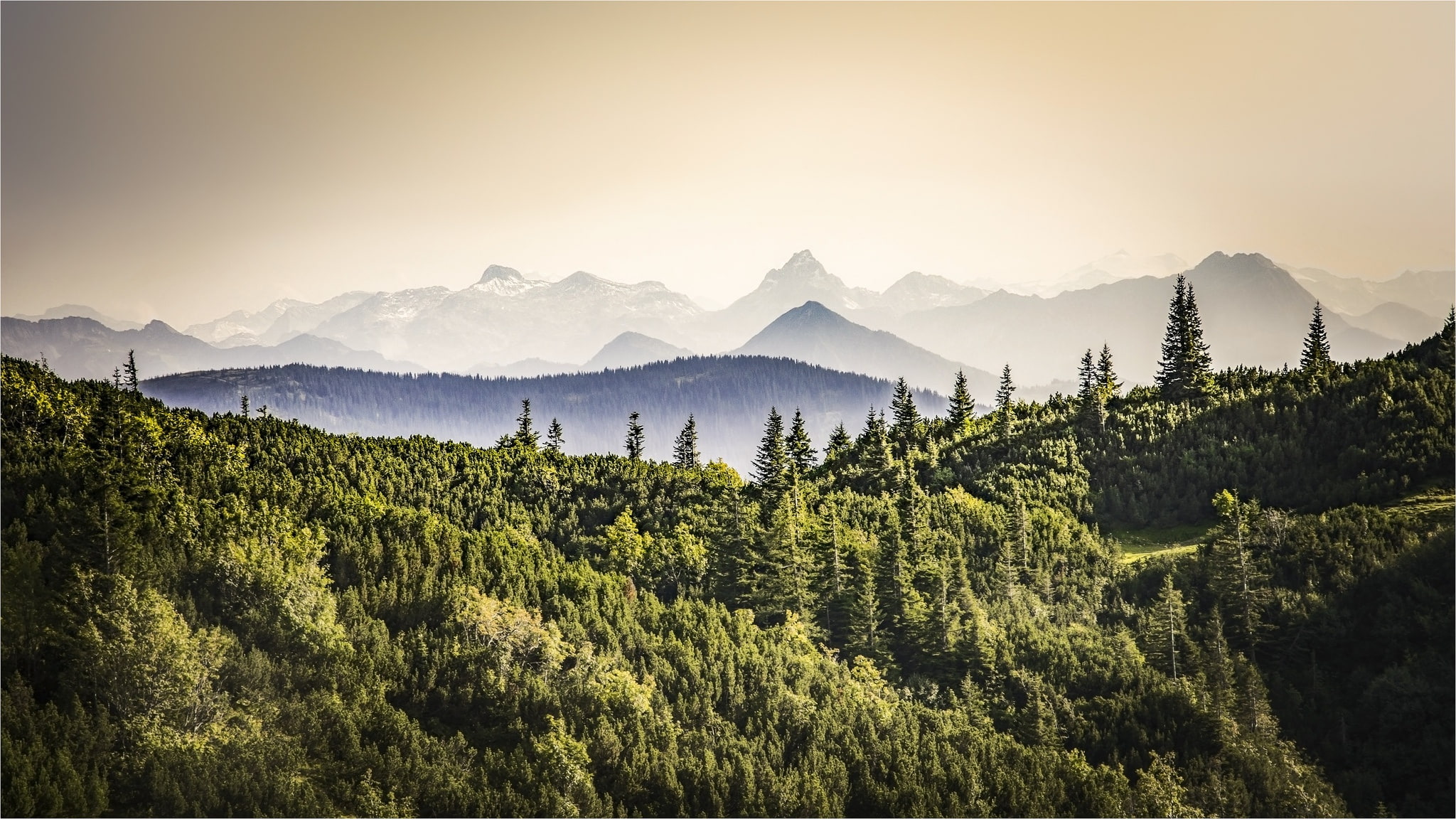 Annaberg, Austria, 1080P, mountains, forest, HD Wallpaper