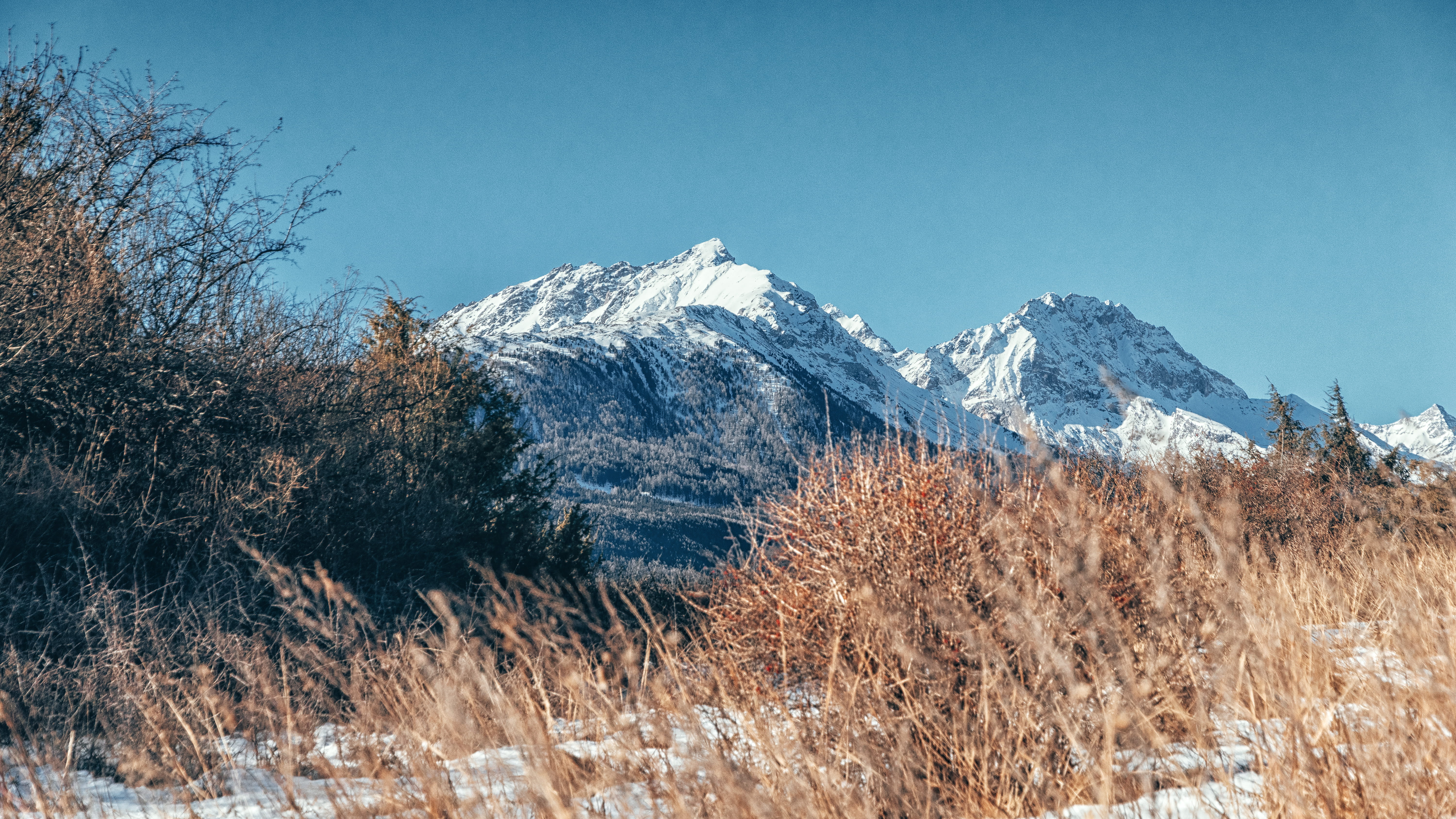 snowcapped mountain, pine tree, snow, winter, fir, 5K, sky, nature, latsch, annaberger böden, mountain range, plant, mountains, coniferous tree, ice, pine woodland, HD Wallpaper