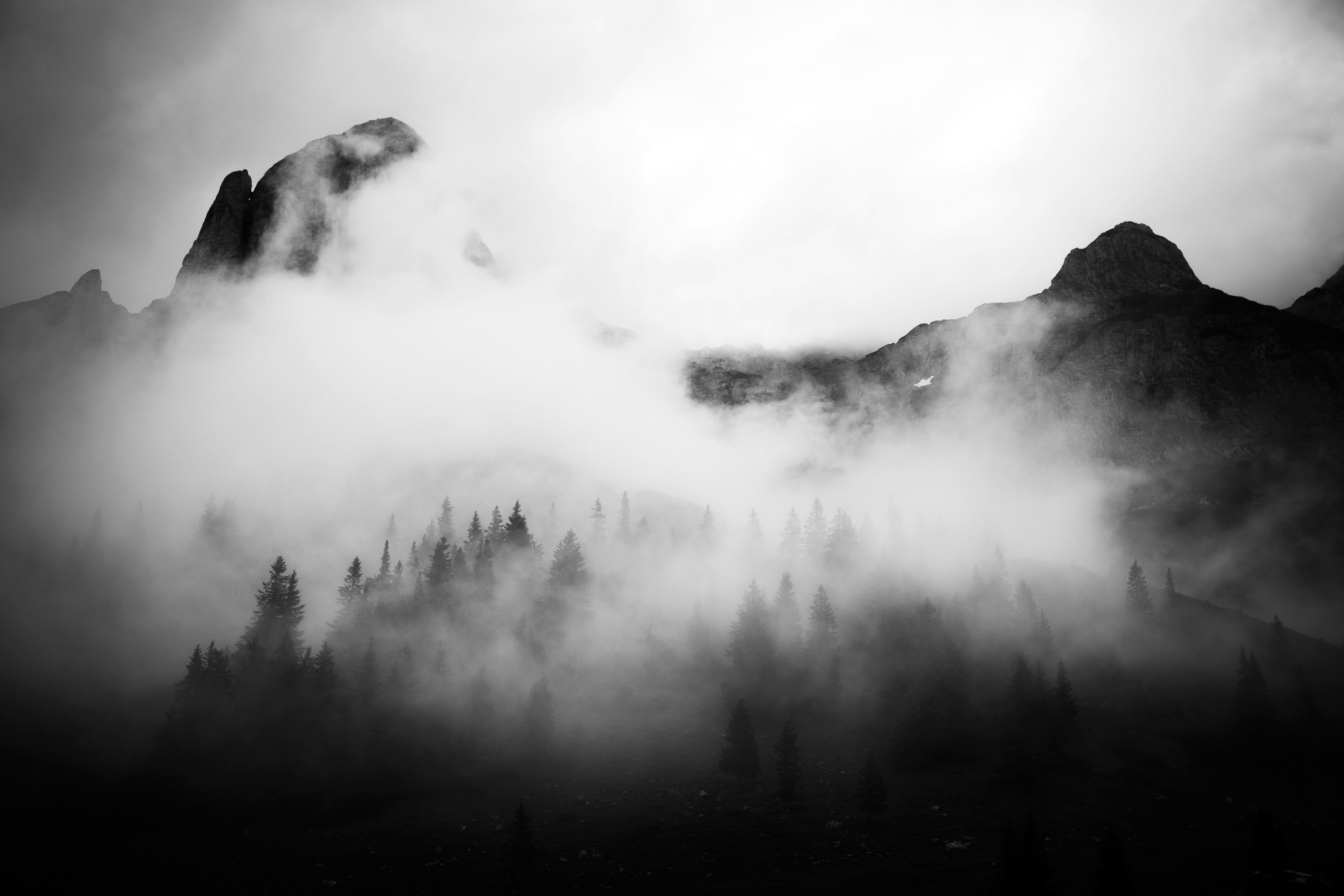 mountain Peak, tranquility, forest, Gemeinde, Fog, mountain, tranquil scene, no people, photos, beauty in nature, Mist, lungotz, sky, scenics - nature, HD Wallpaper