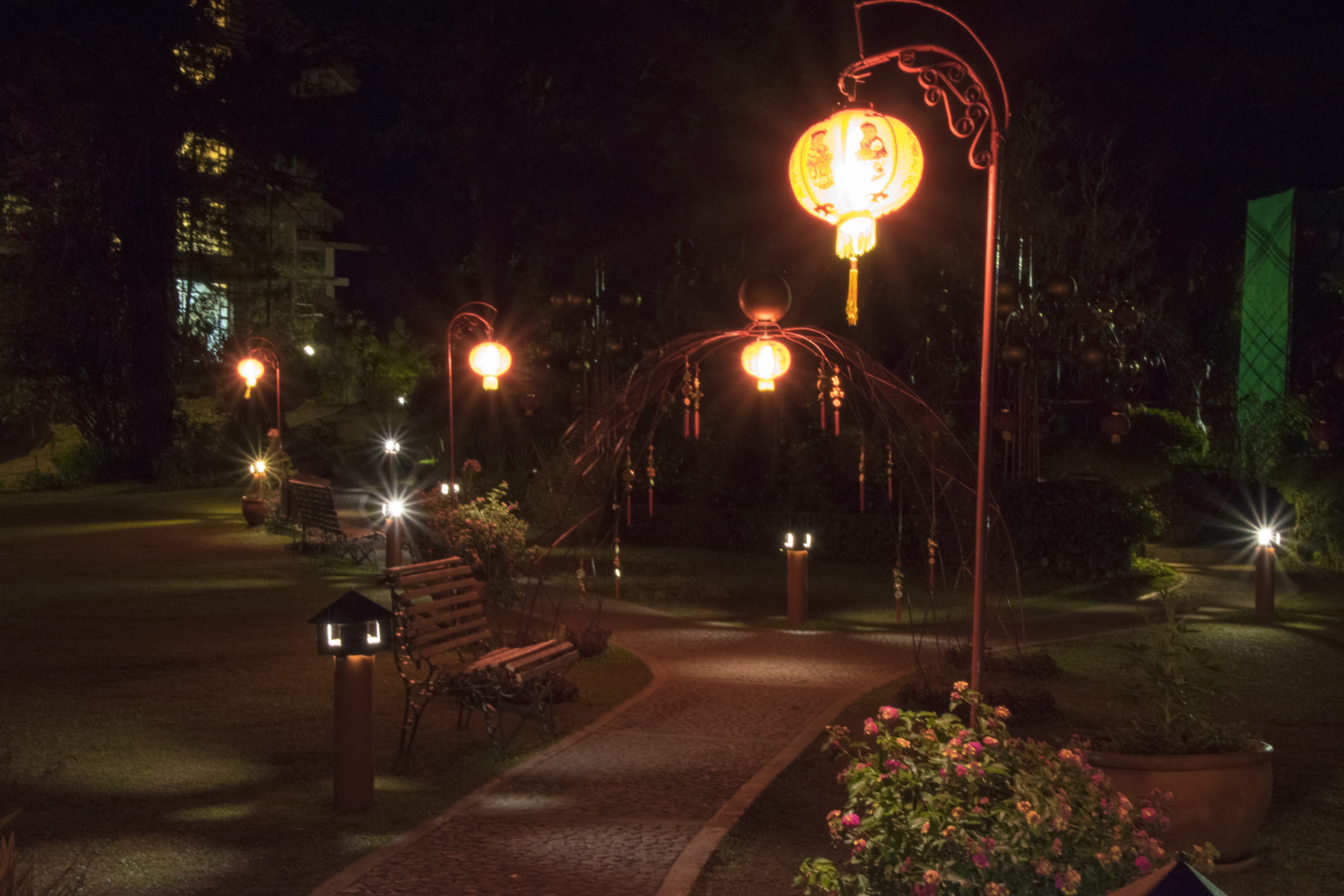 night, plant, park - man made space, philippines, nature, park, architecture, street, baguio, direction, seat, 5K, transportation, illuminated, street light, HD Wallpaper