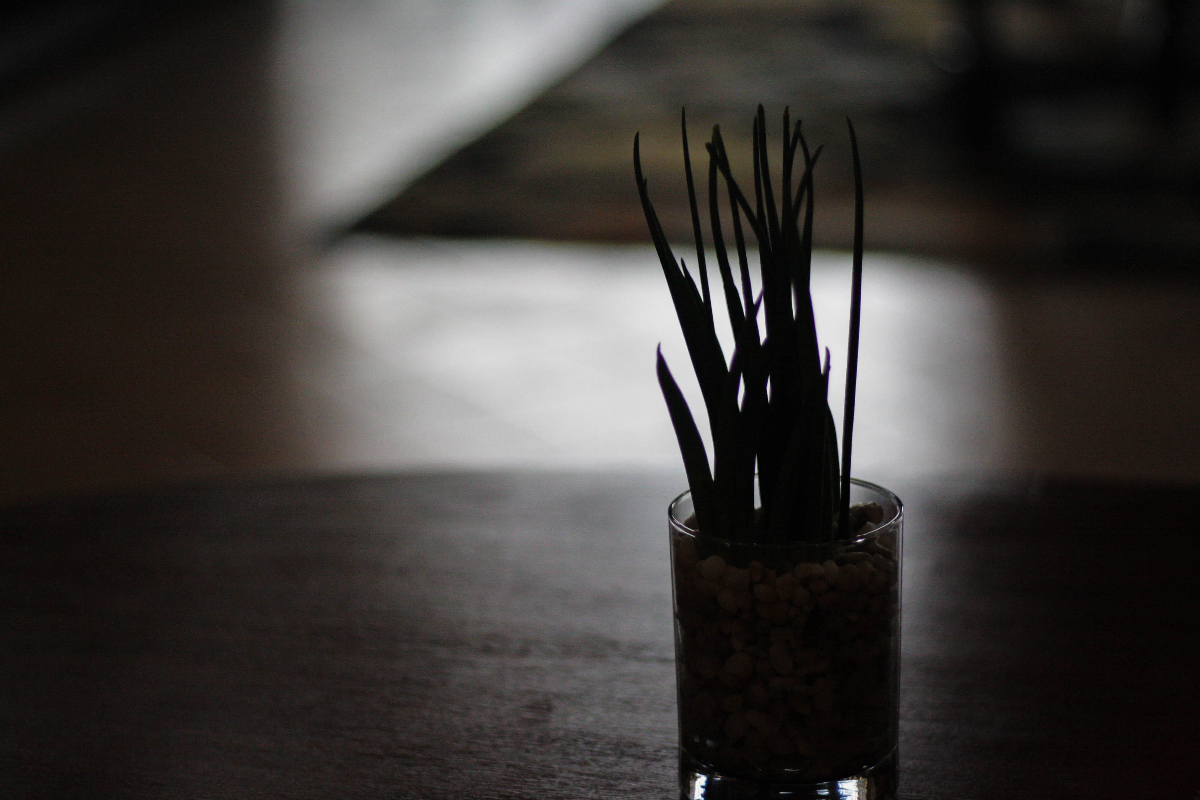 4K, still life, soil, the forest lodge, close-up, glass - material, bottle, art and craft equipment, focus on foreground, day, baguio, single object, ink, HD Wallpaper