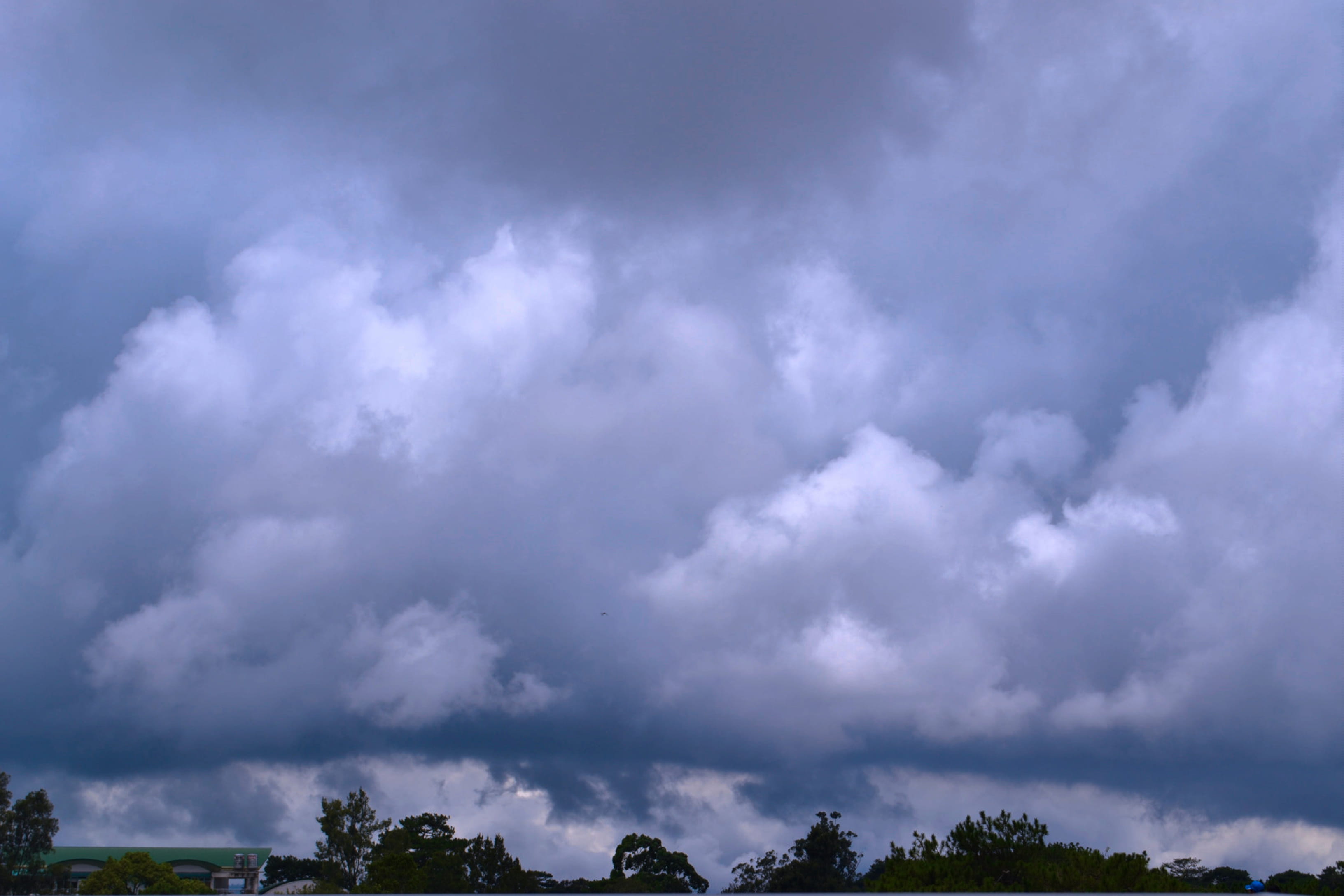 power in nature, baguio, cloudscape, nature, no people, environment, scenics - nature, beauty in nature, tree, storm, dramatic sky, tranquility, overcast, HD Wallpaper