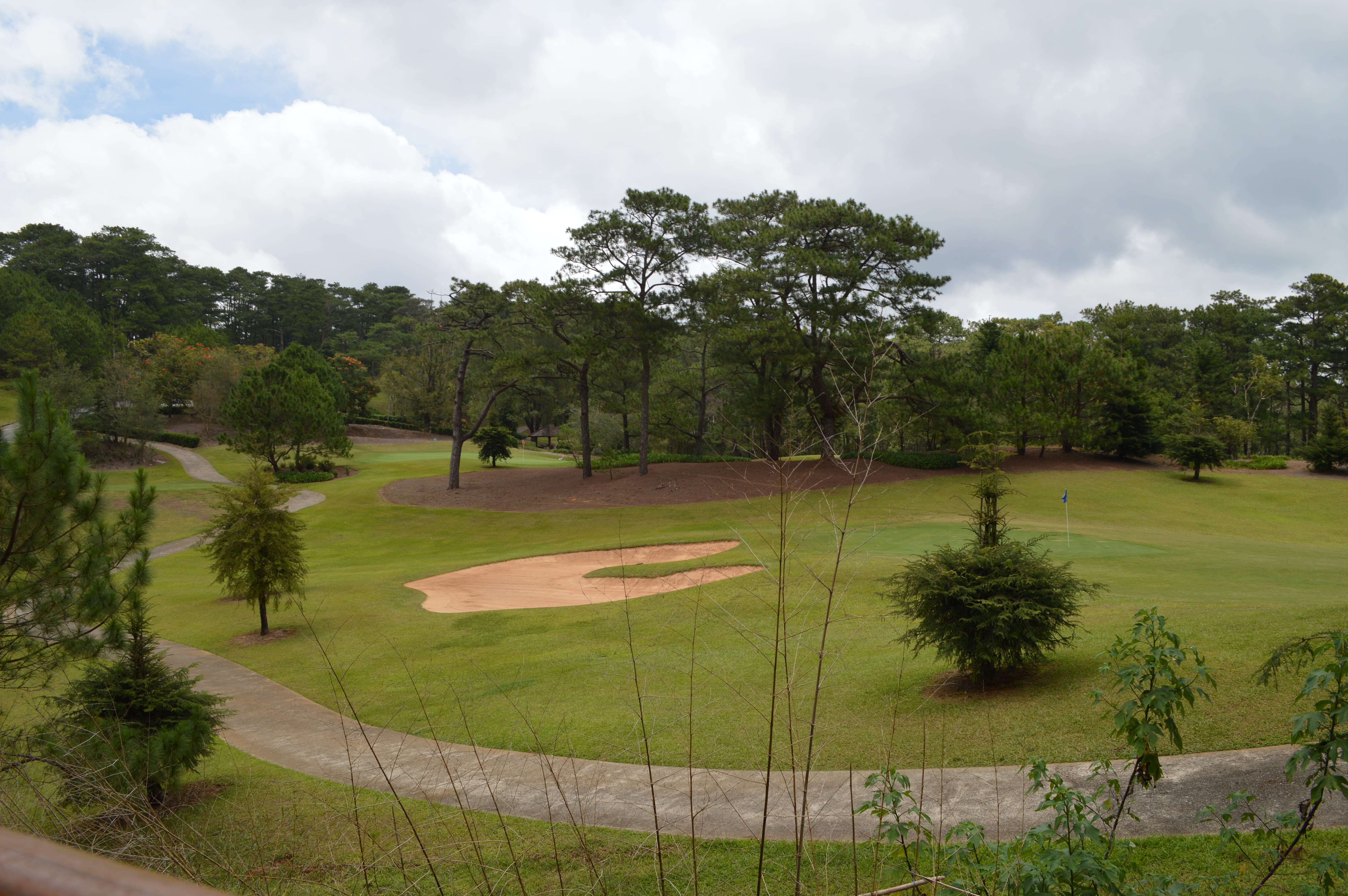 tree, 5K, beauty in nature, sky, day, golf, plant, grass, cloud - sky, camp john hay, philippines, activity, outdoors, tranquility, green - golf course, HD Wallpaper