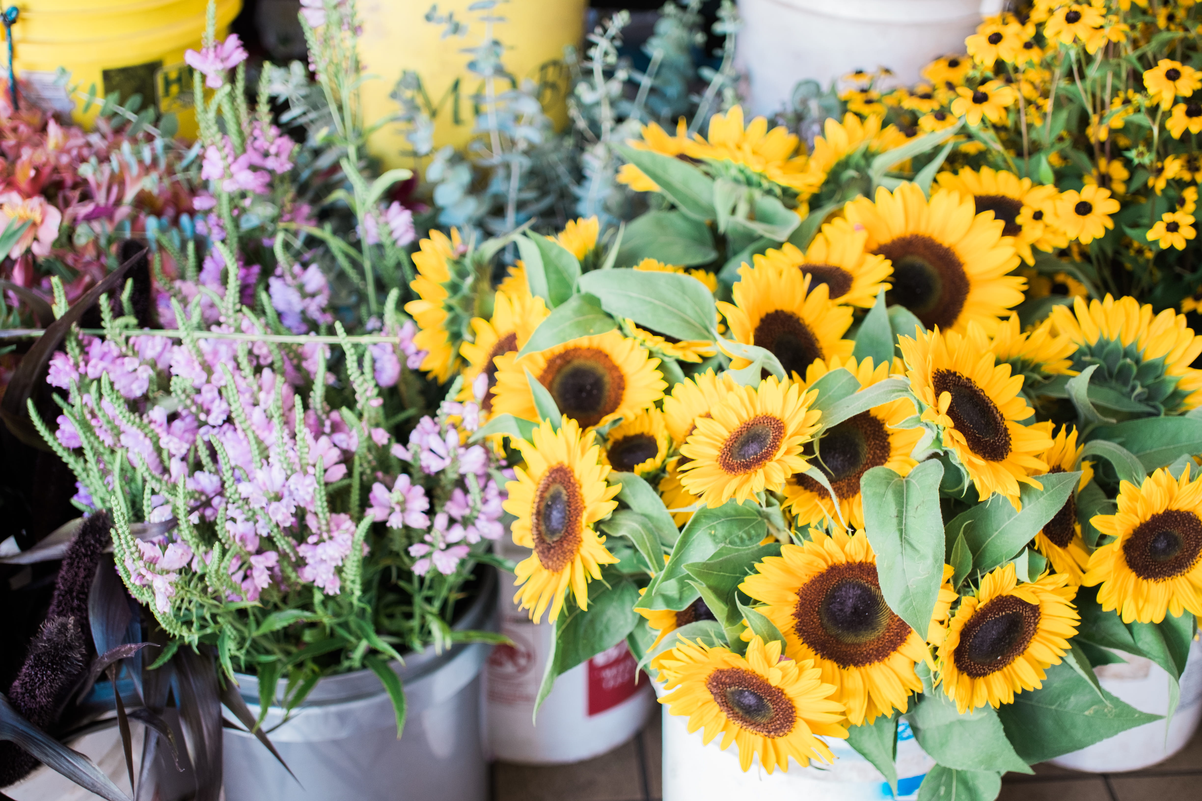 no people, market, growth, flower arrangement, close-up, flower head, vulnerability, 4K, beauty in nature, outdoors, flowers, yellow, retail, sunflower, HD Wallpaper
