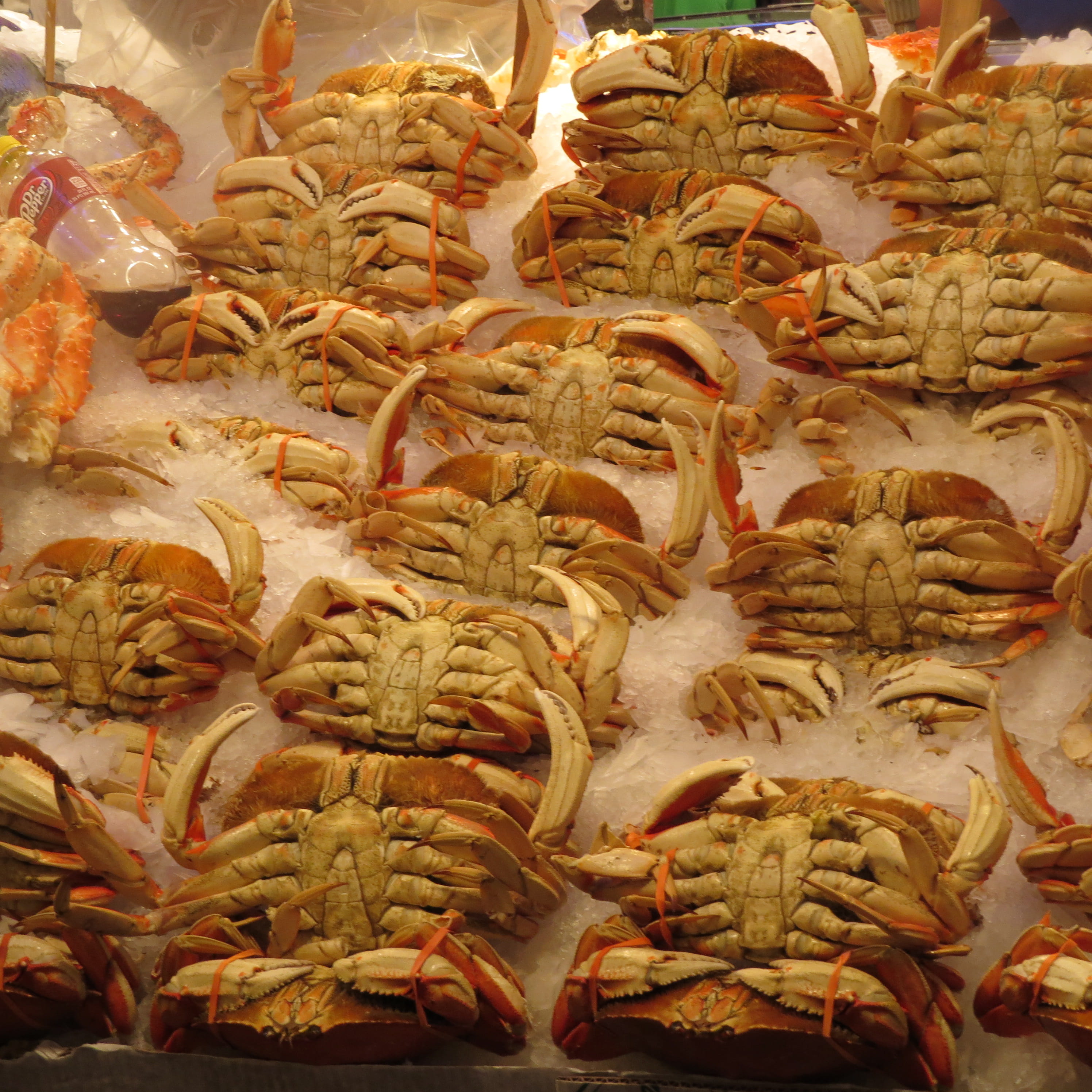 freshness, full frame, market, seattle, pike place market, crabs, large group of objects, backgrounds, choice, food, in a row, 2K, close-up, representation, Phone HD Wallpaper