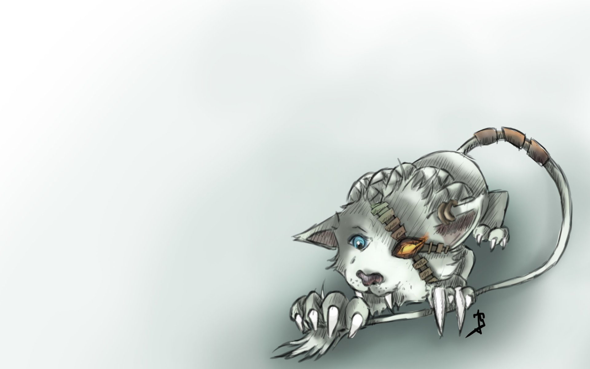 1080P, Video Game, League Of Legends, Rengar (League Of Legends), HD Wallpaper