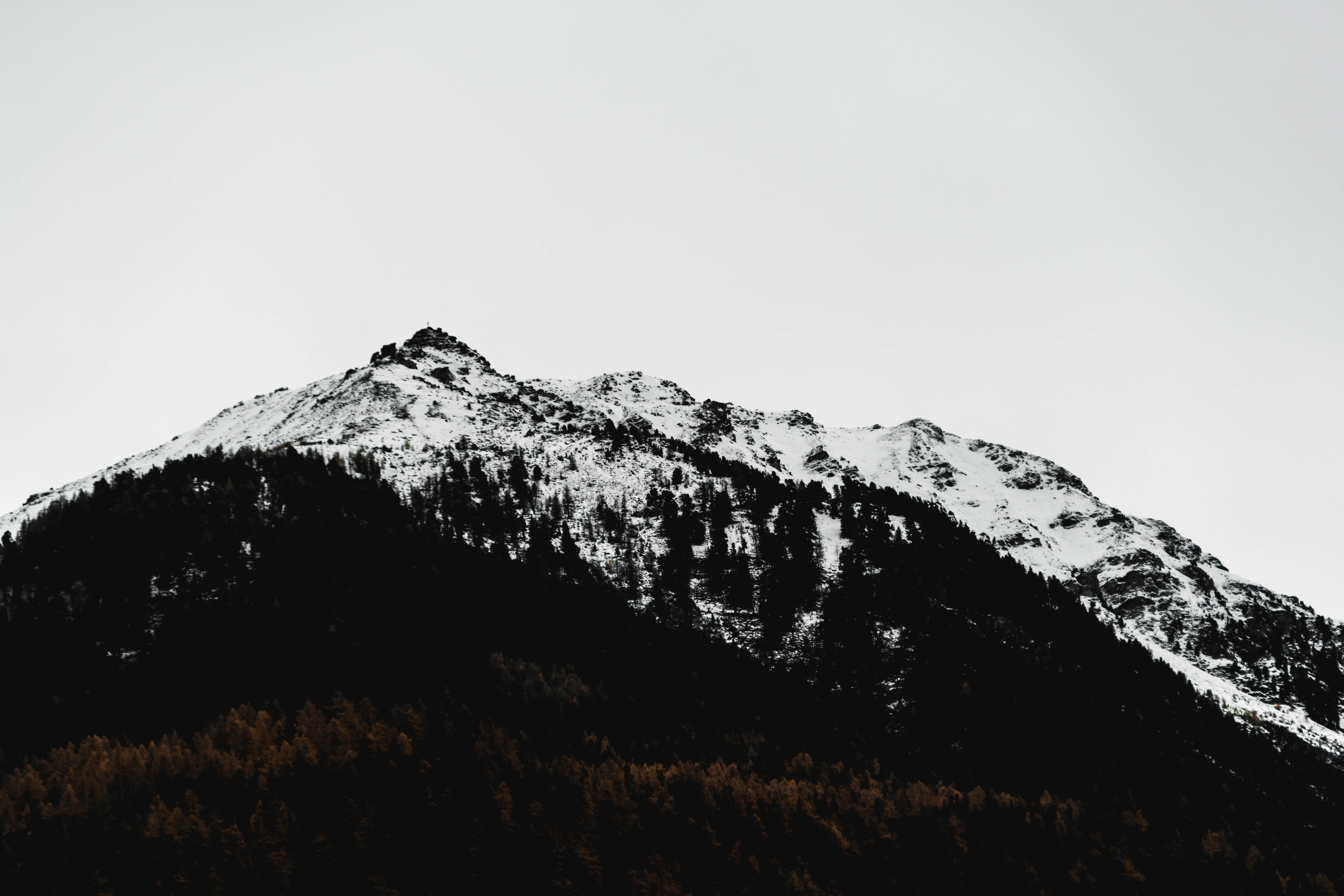 soft, snowcapped mountain, scenics - nature, background, beauty in nature, copy space, swiss, tranquil scene, cold temperature, plant, mountain range, mountain, HD Wallpaper
