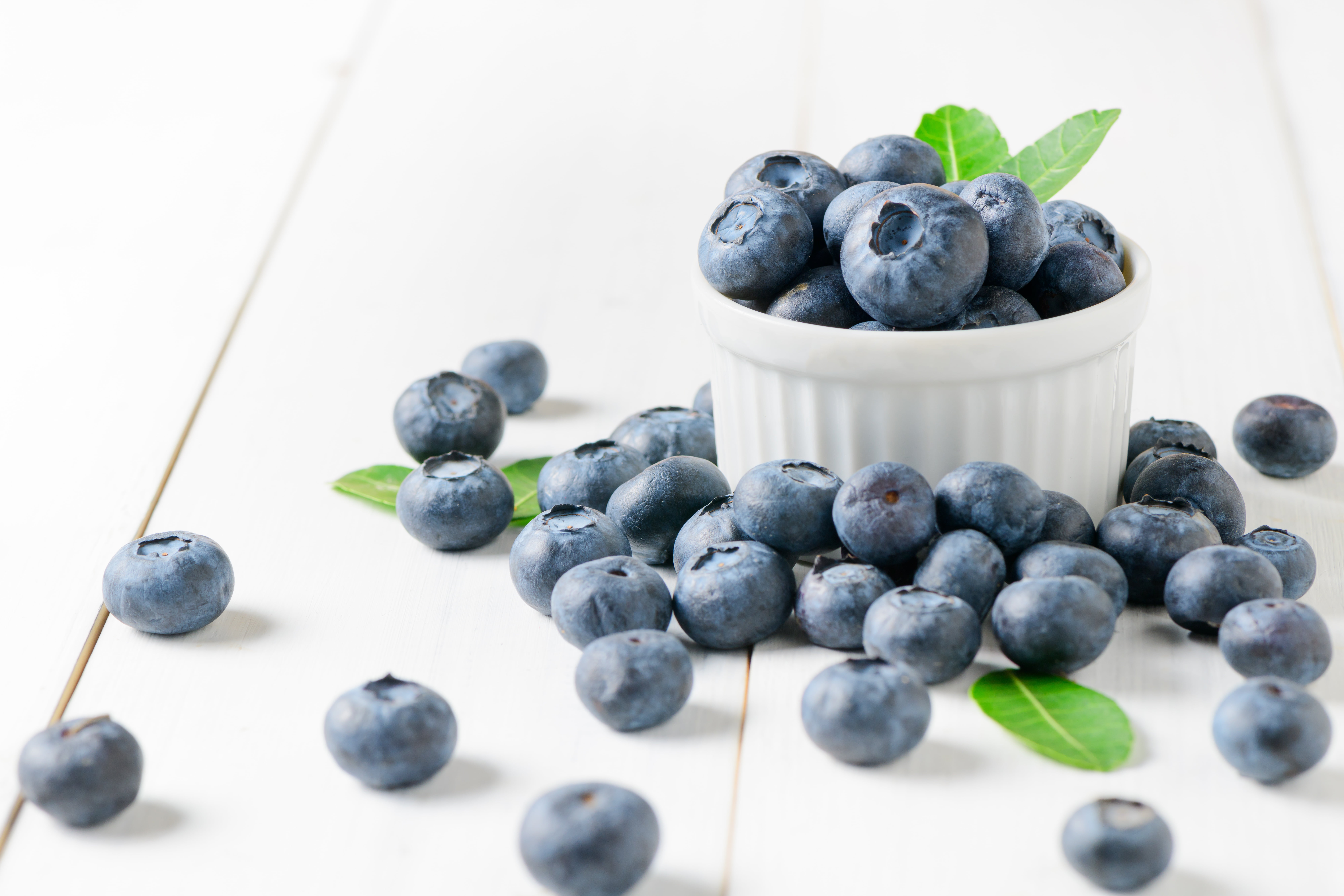 wood, fresh, blueberry, 8K, blueberries, berries, HD Wallpaper