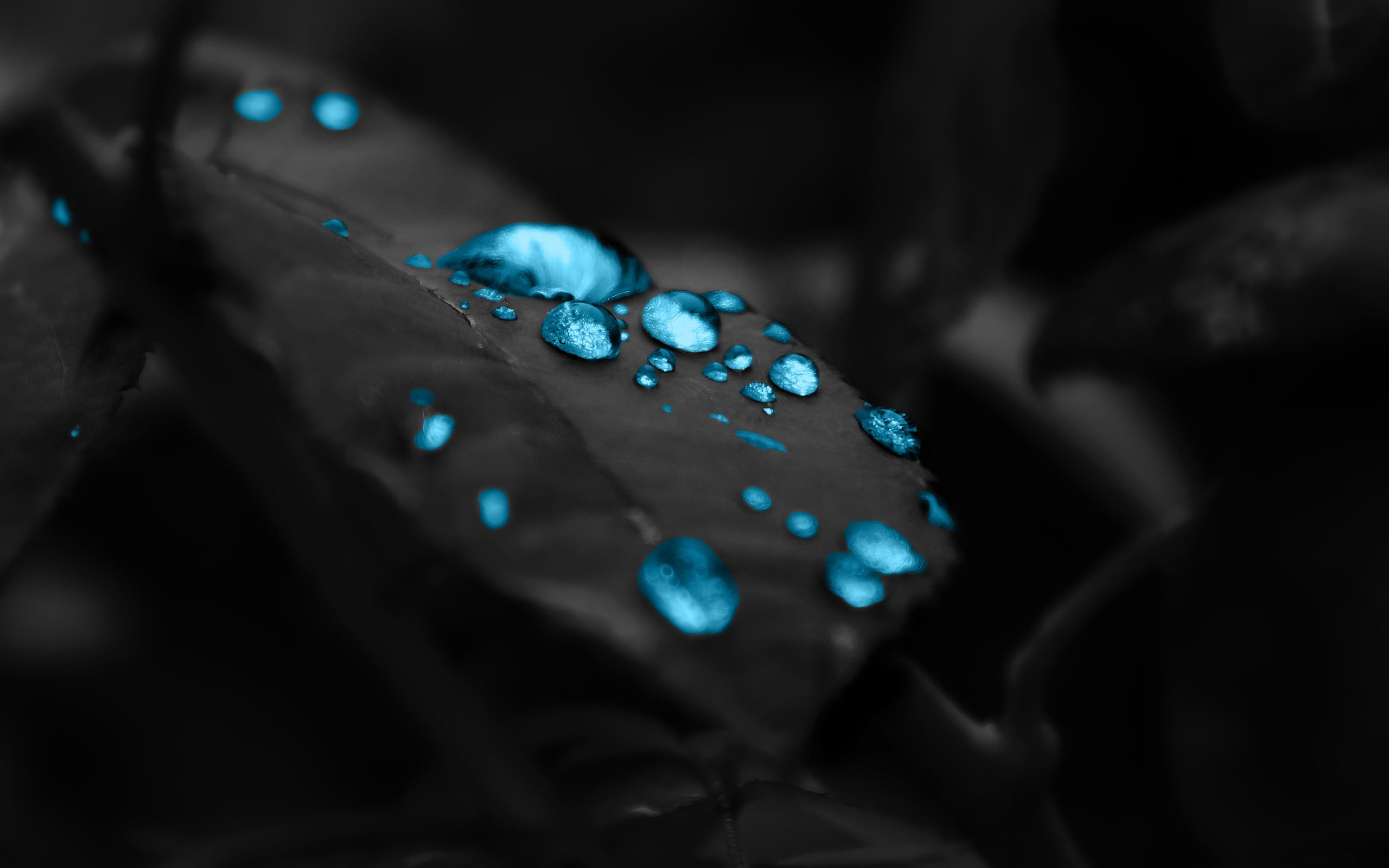 water drop, drop, drops, water, 2K, blue, HD Wallpaper