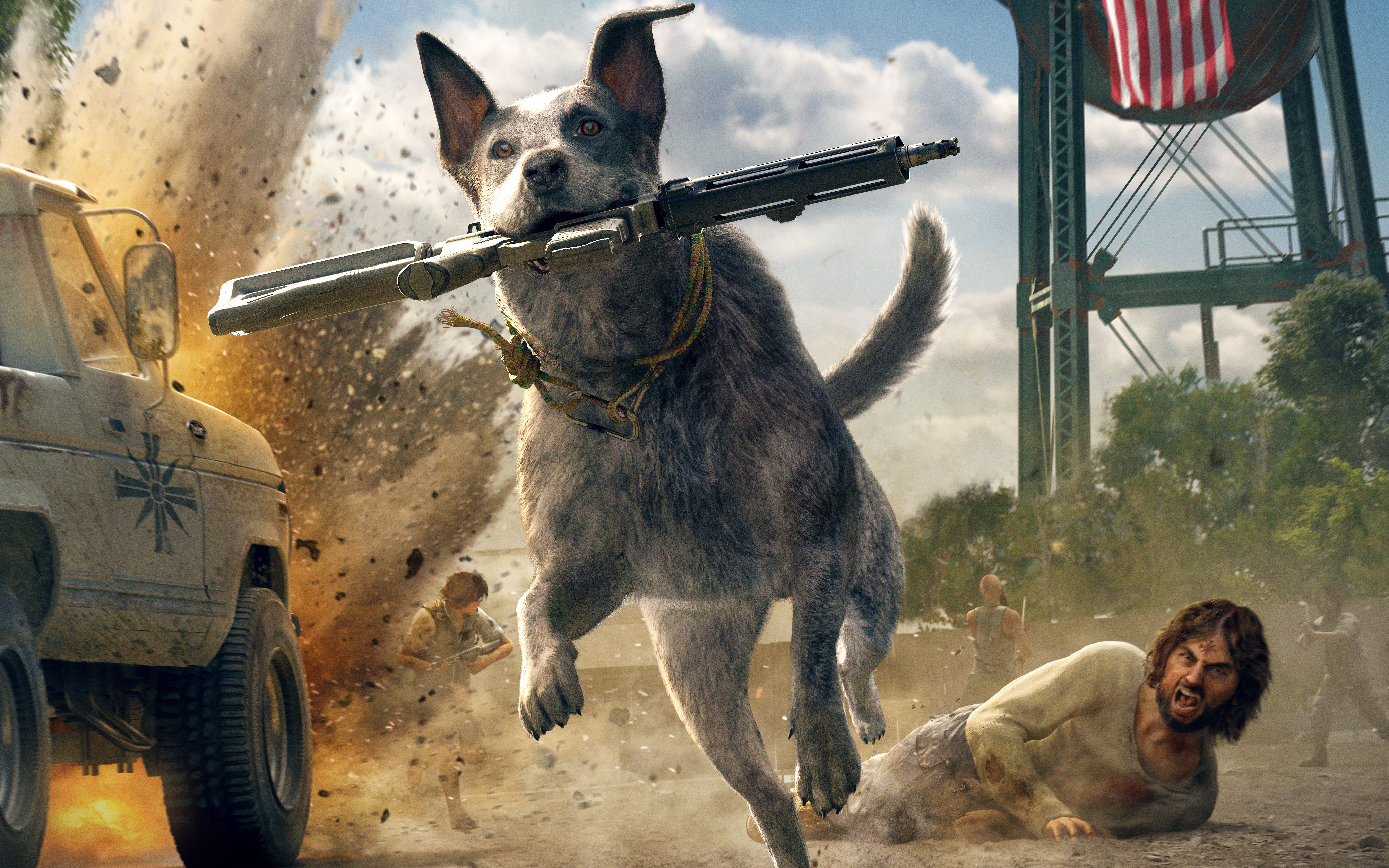 australian cattle dog, domestic animals, vertebrate, 5K, 4k, portrait, people, day, 5k, leisure activity, dog, mammal, hd, domestic, one animal, outdoors, HD Wallpaper