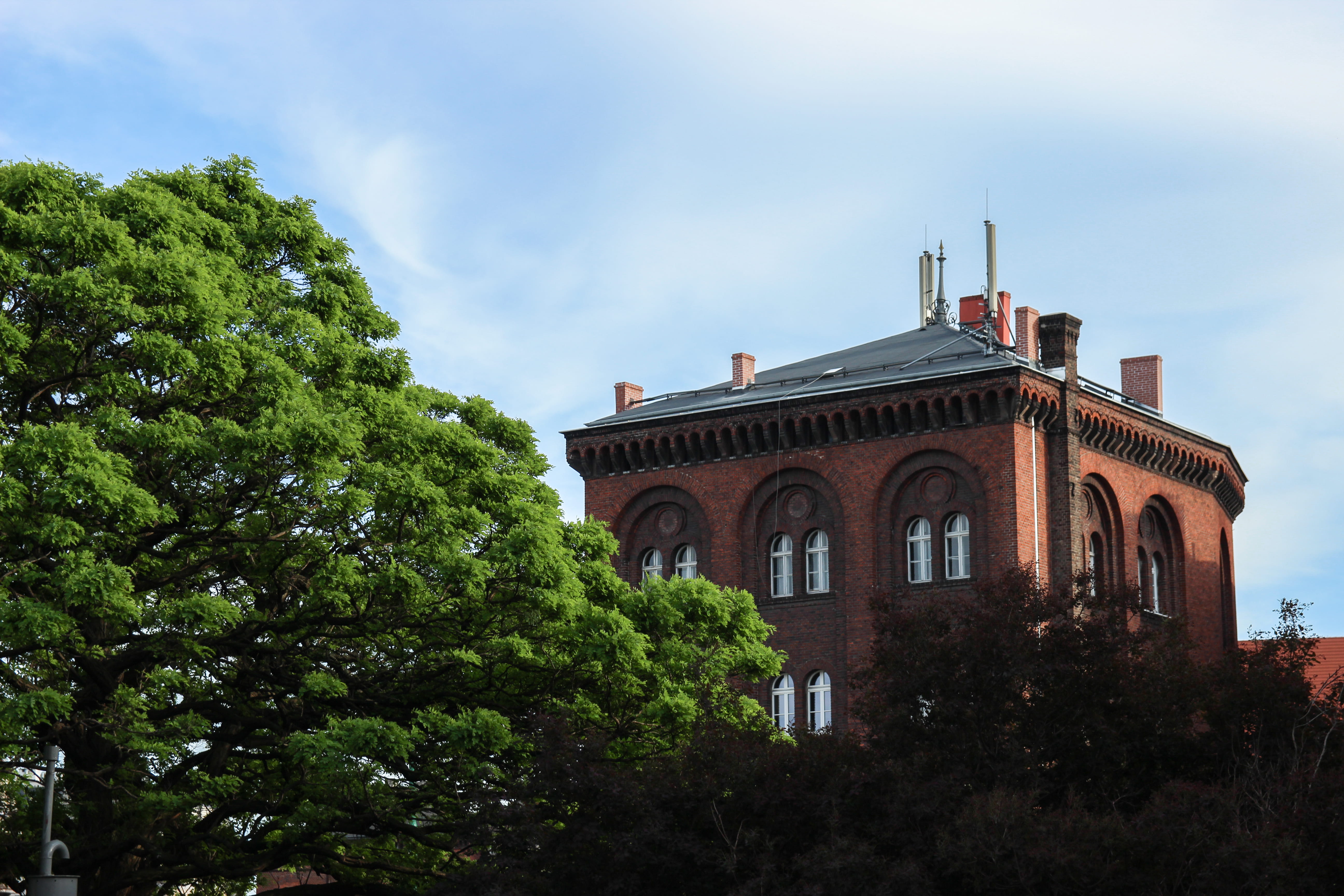 poznan, sky, tree, flag, nature, house, growth, building, brickstone, day, travel destinations, no people, history, green color, city, clouds, building exterior, HD Wallpaper