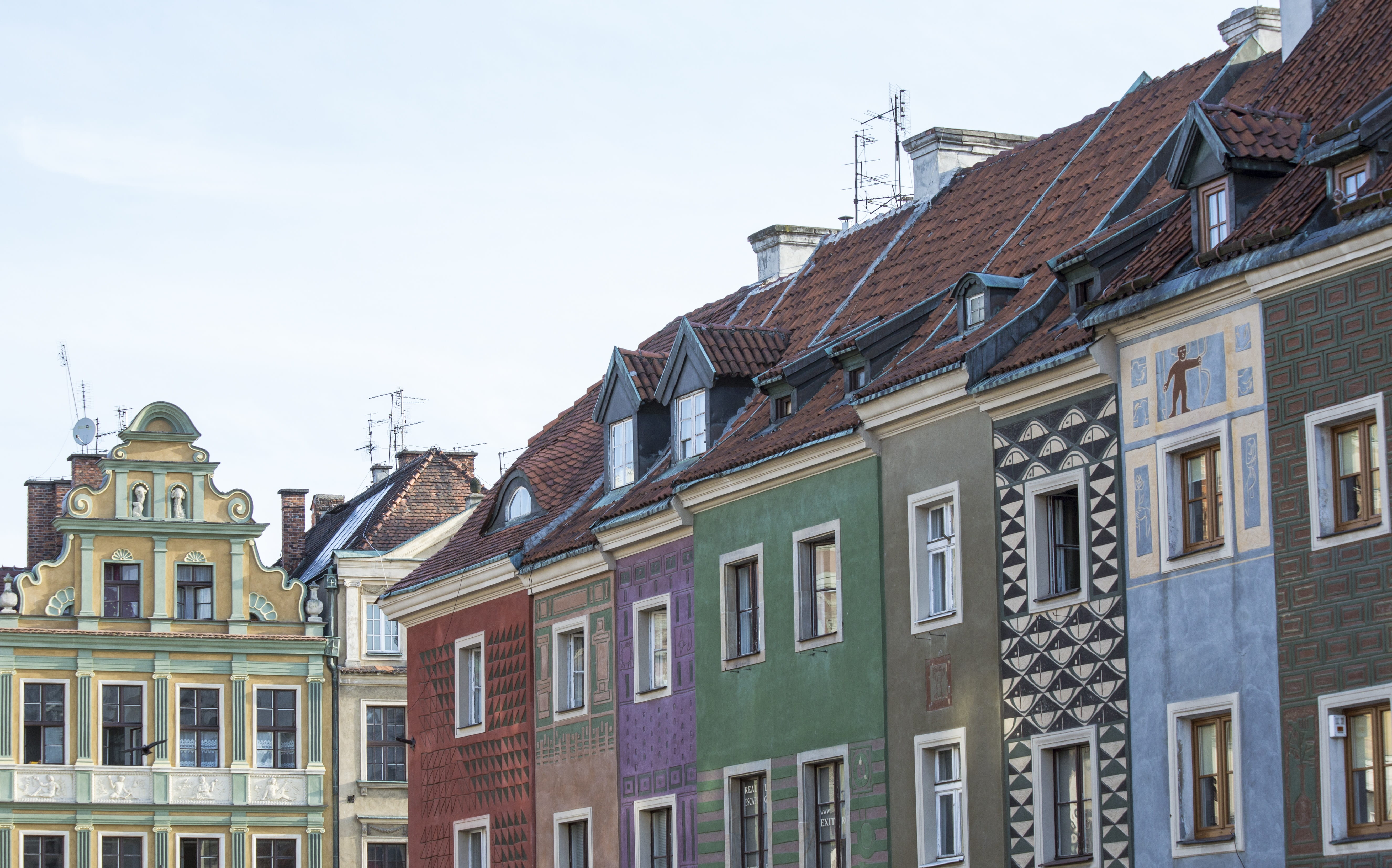 day, window, homes, travel destinations, row house, history, poland, city, 5K, residential district, apartment, architecture, low angle view, nature, built structure, HD Wallpaper