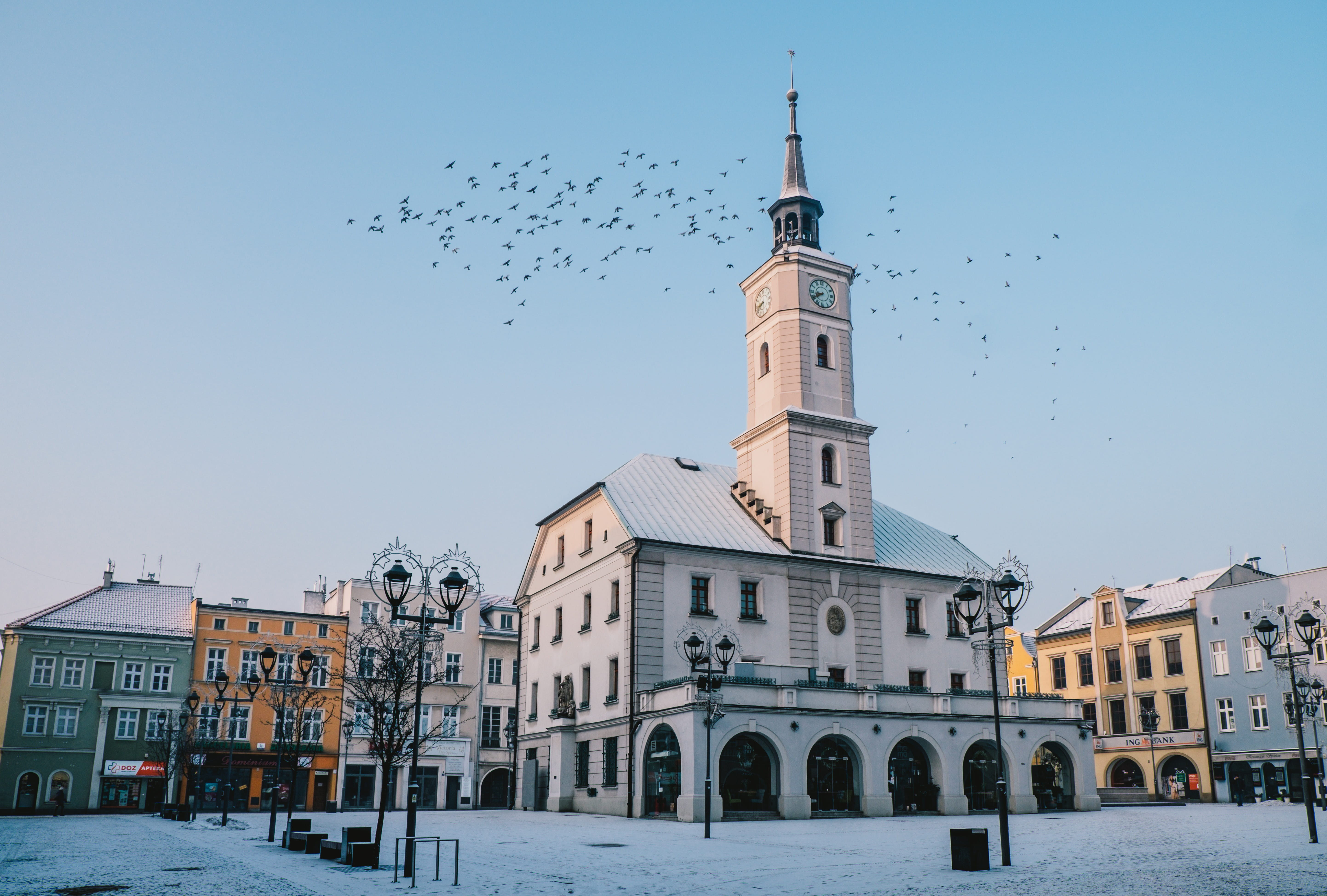 spire, building, animal, religion, vertebrate, no people, group of animals, animal wildlife, architecture, the market, the town hall, tower, gliwice, building exterior, HD Wallpaper