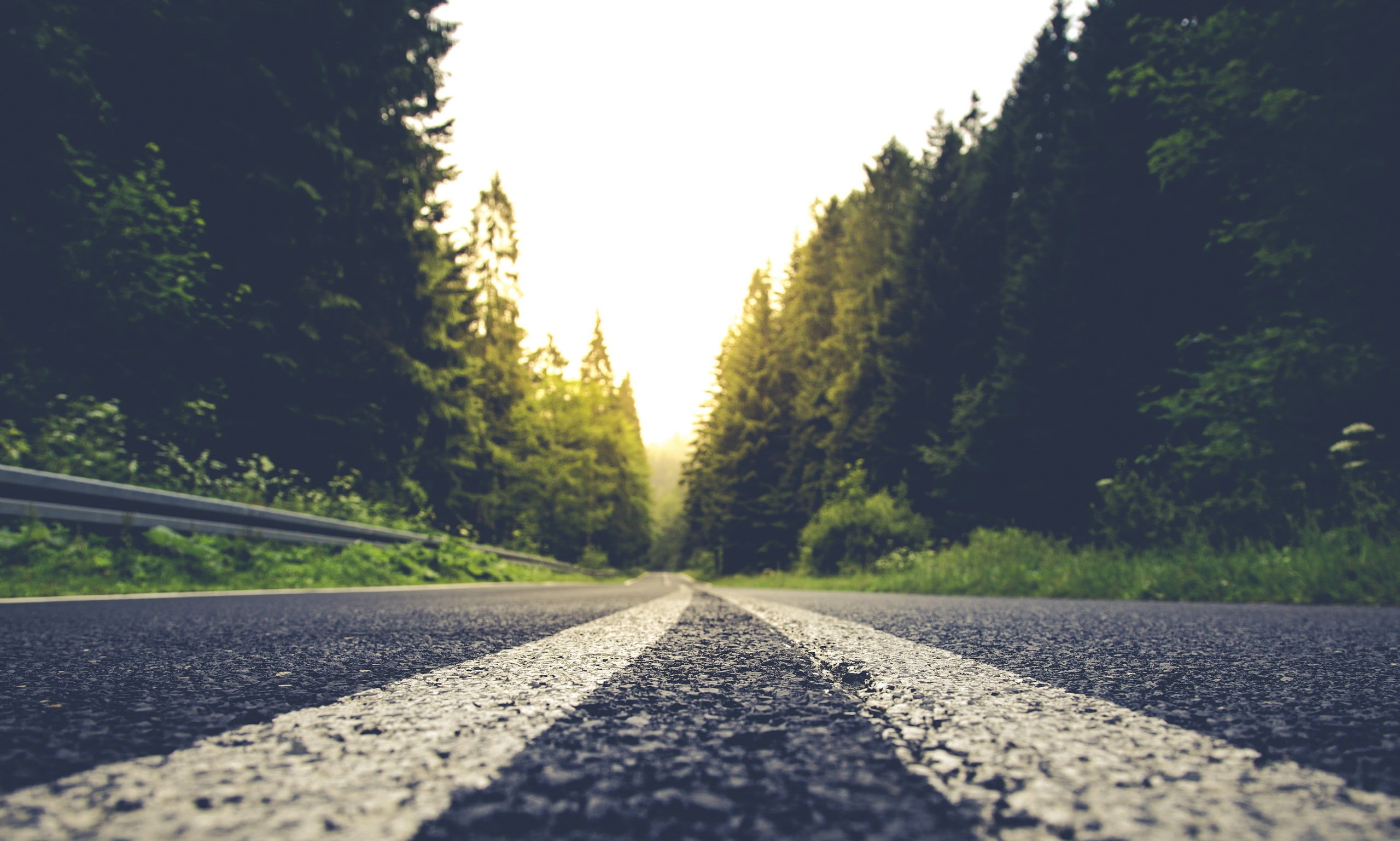 night, worms eye view, trees, road, 2K, HD Wallpaper
