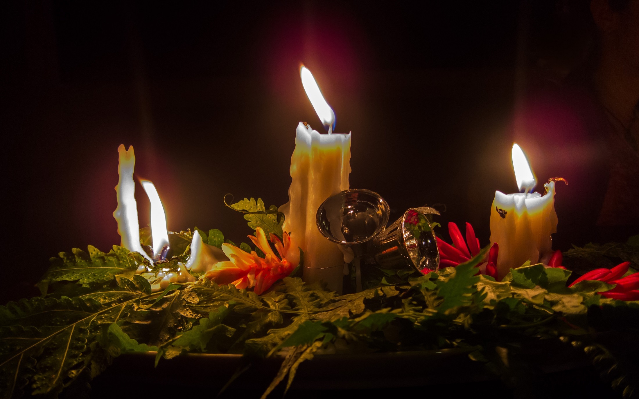 white, fire, indoors, christmas candles, greenery, religion, studio shot, 1080P, red, birthday candles, burning, belief, flame, close-up, festive, wax, HD Wallpaper