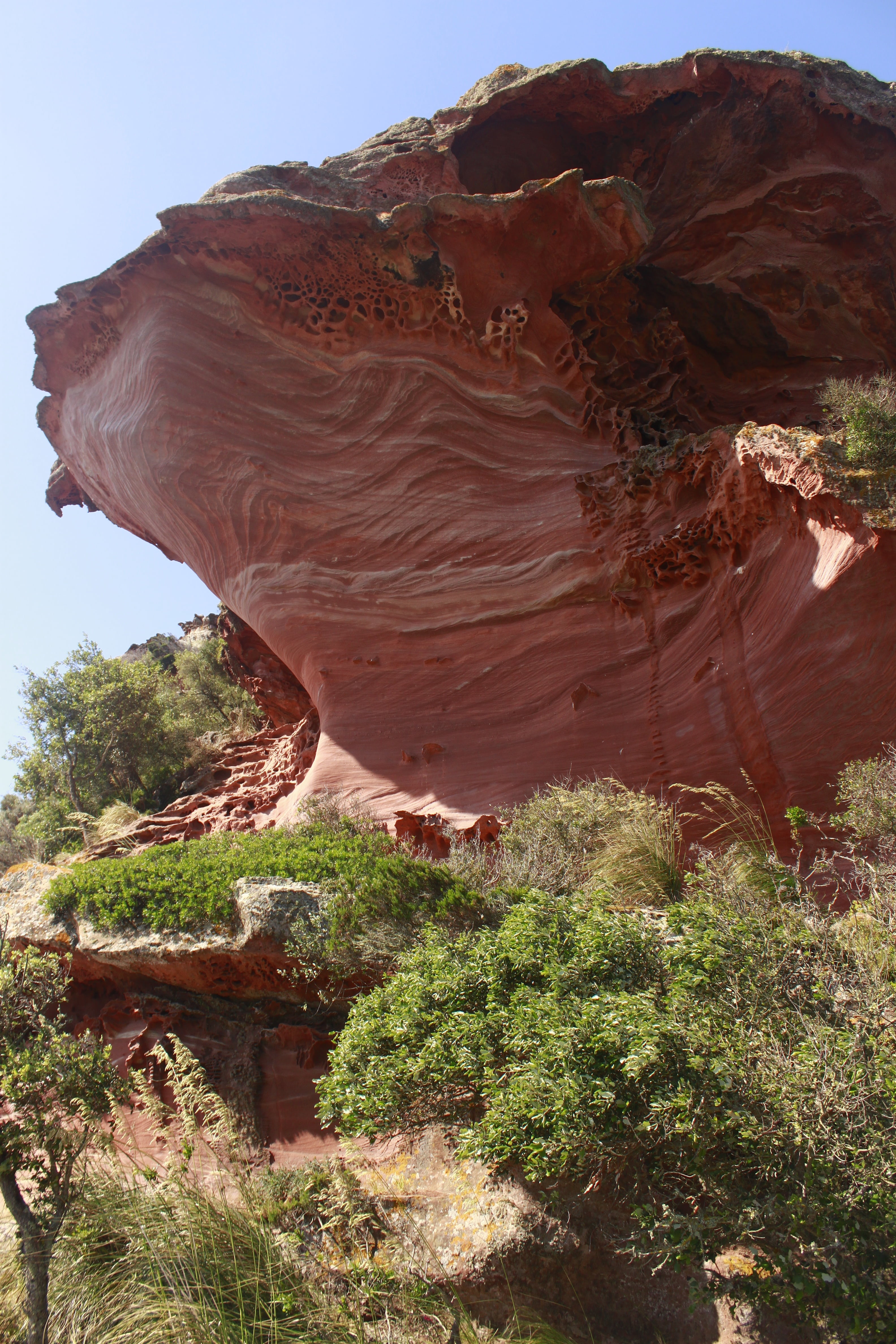 travel, travel destinations, character, nature, stones, forest, arid climate, eroded, day, outdoors, non-urban scene, 4K, mountains, sky, geology, rock formation, Phone HD Wallpaper