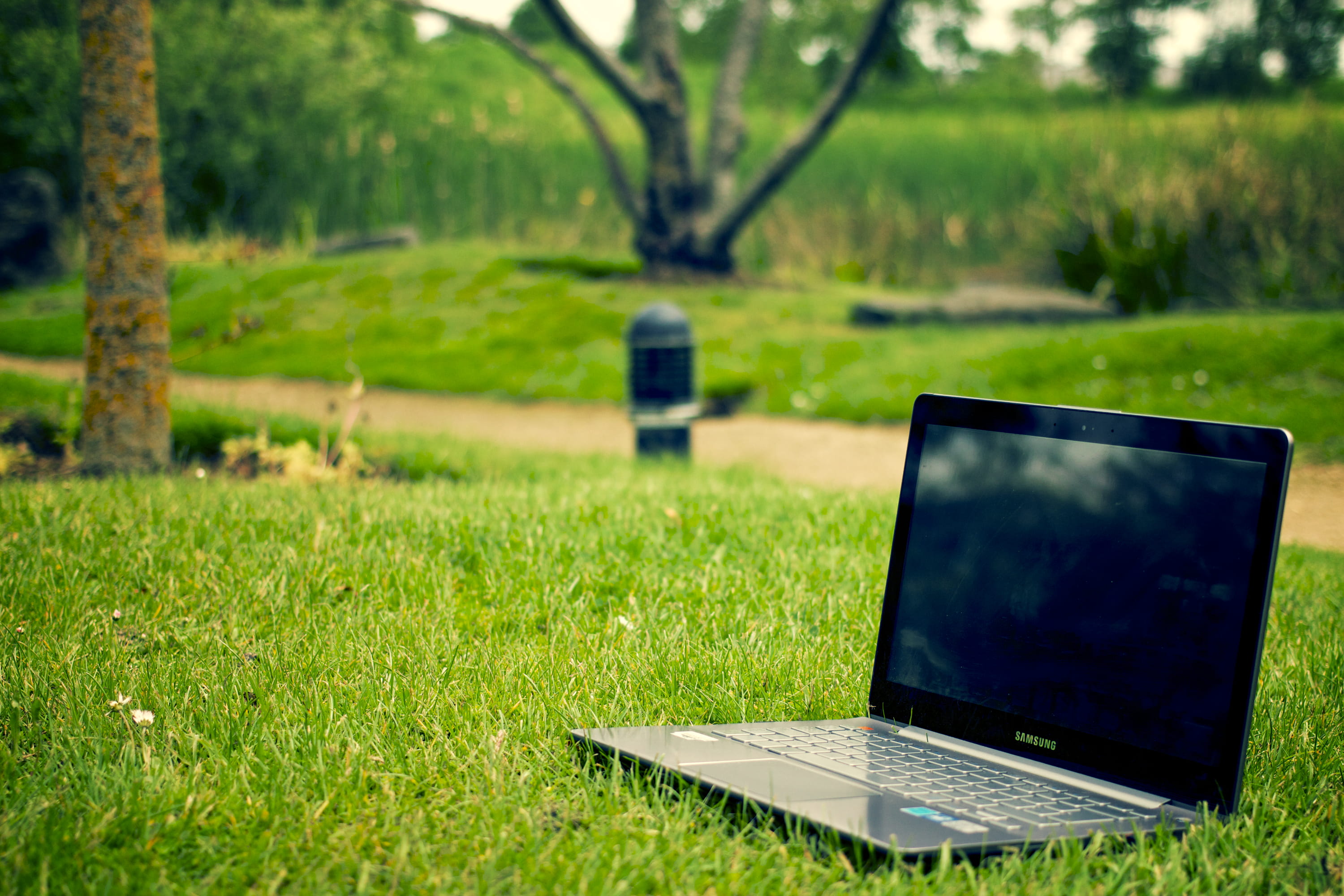 eco, laptop, no people, black, land, environment, digital nomad, plant, mockup, absence, grass, technology, lawn, sunlight, nature, notebook, wireless technology, HD Wallpaper