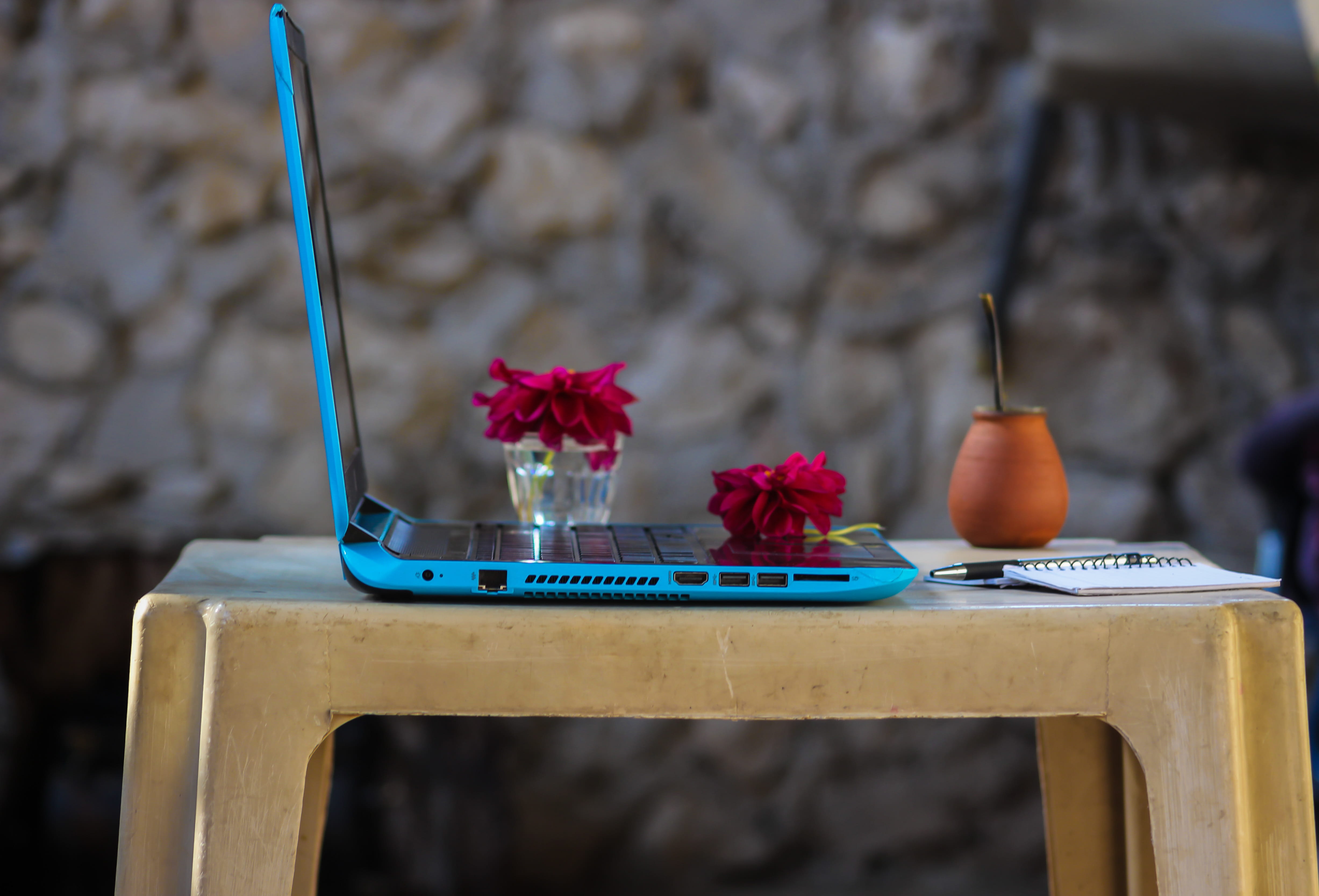 flowers, creativity, water, dahlia, bloom, container, still life, nature, flower, top, day, wood - material, blue, tray, focus on foreground, table, 4K, HD Wallpaper
