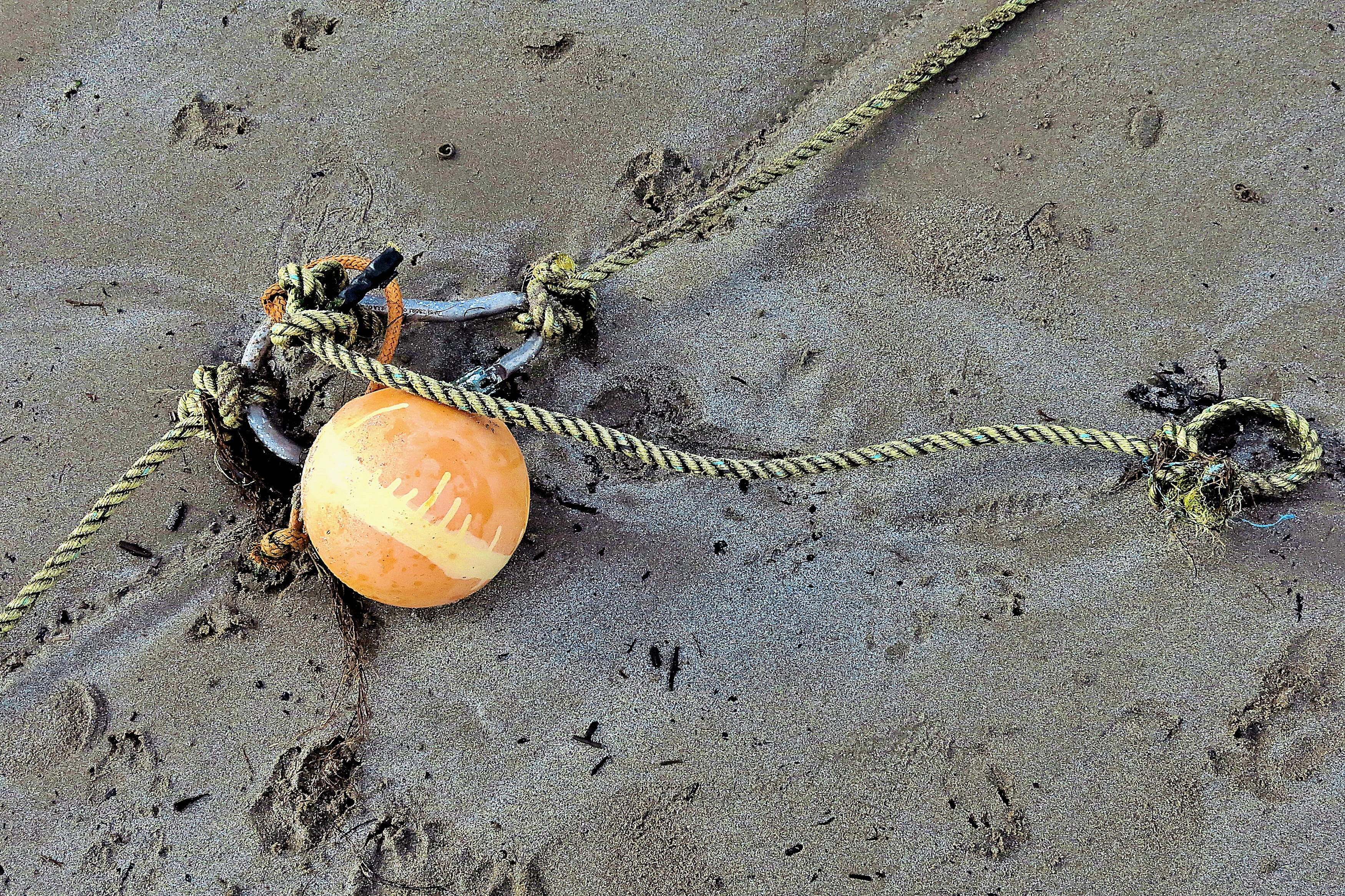 abandoned, orange, close-up, built structure, fruit, textured, 2K, spider, rope, sand, no people, animal, high angle view, fungus, land, plant, safety, HD Wallpaper
