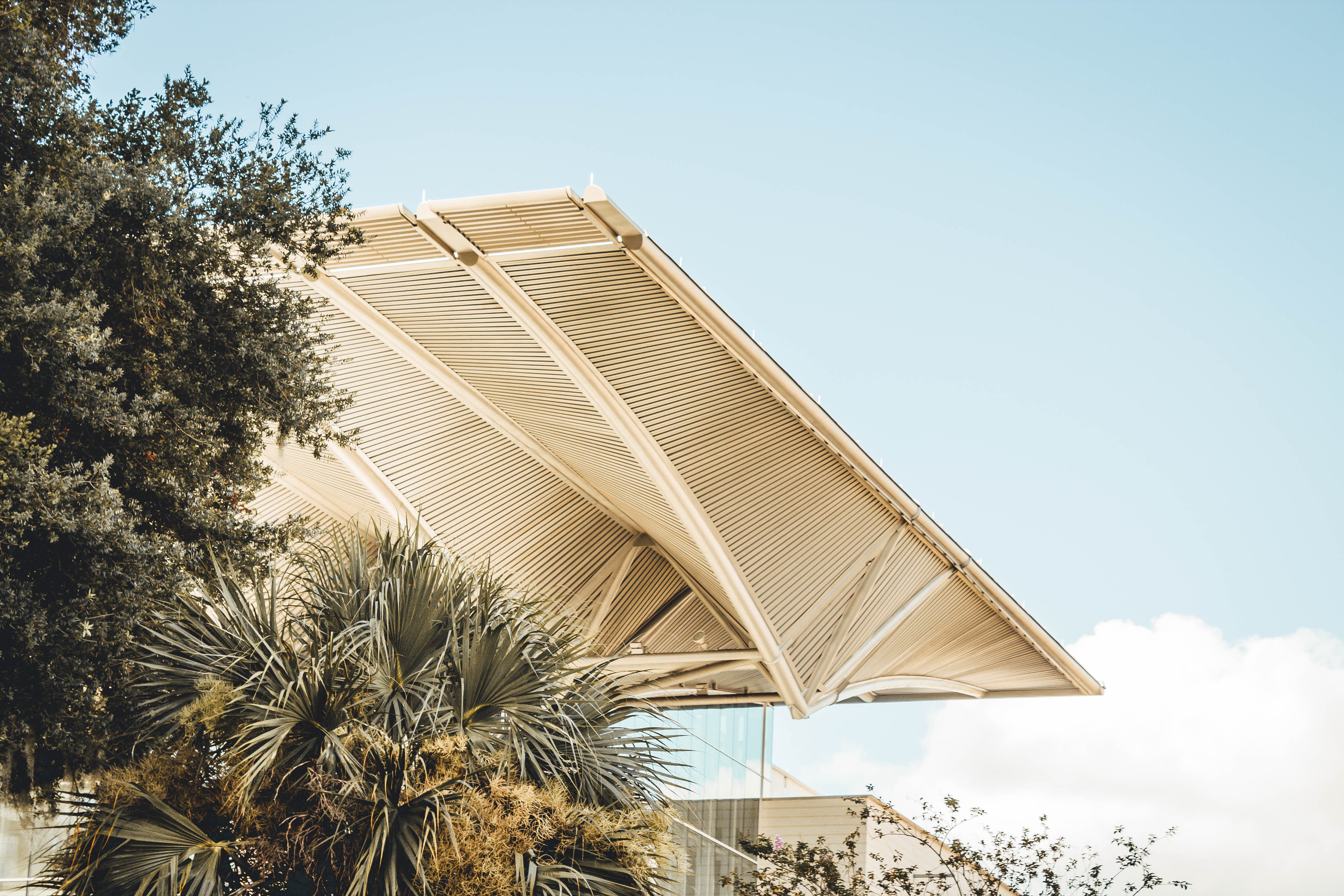 city, outdoors, day, tree, architecture, abstract, palm tree, plant, growth, modern design, palm leaf, summer, orlando, urban, apartment building, 5K, HD Wallpaper