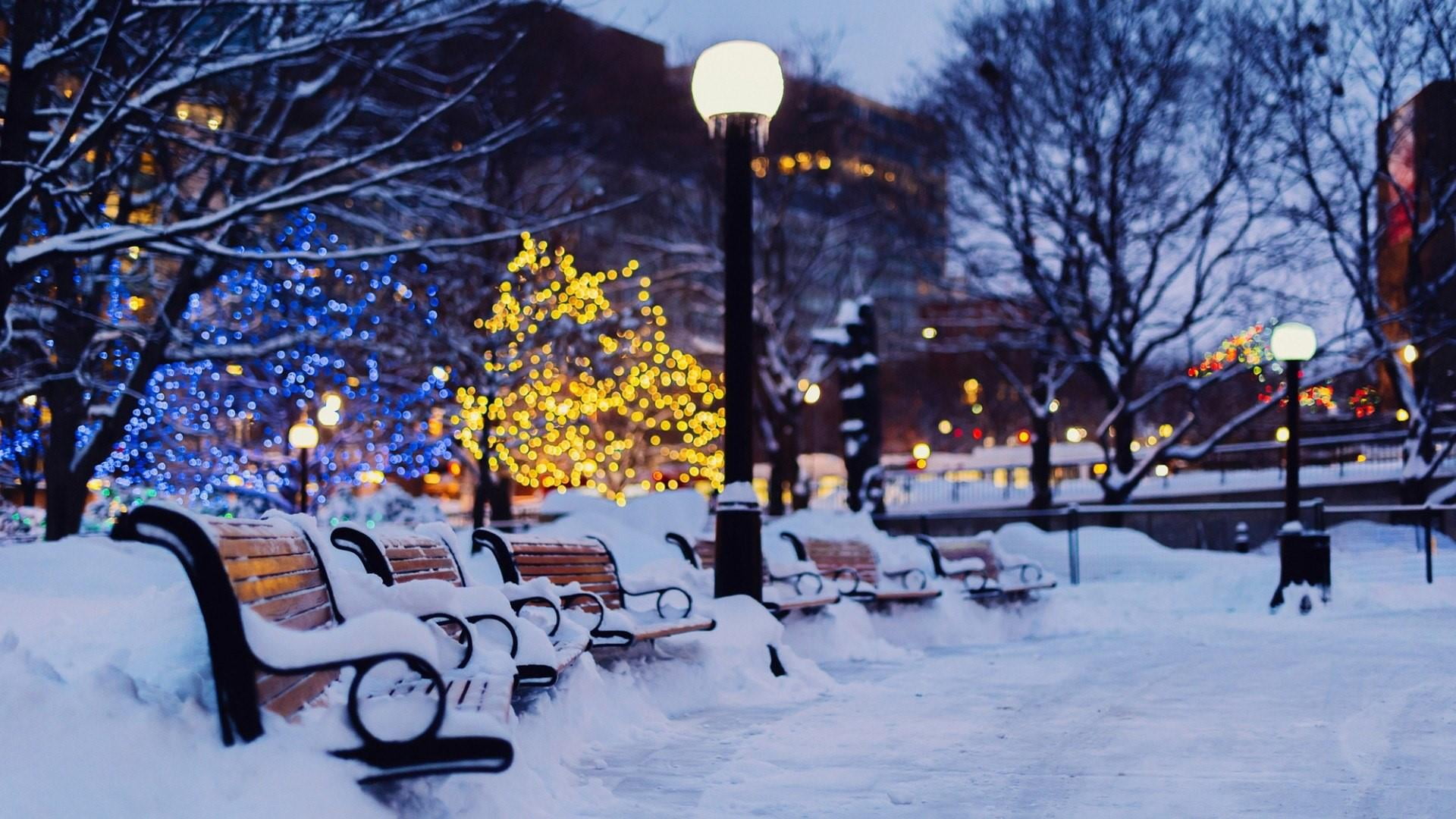 1080P, plant, extreme weather, evening, cold temperature, nature, outdoors, branch, day, ice, light, holiday, christmas, bare tree, seat, christmas tree, HD Wallpaper