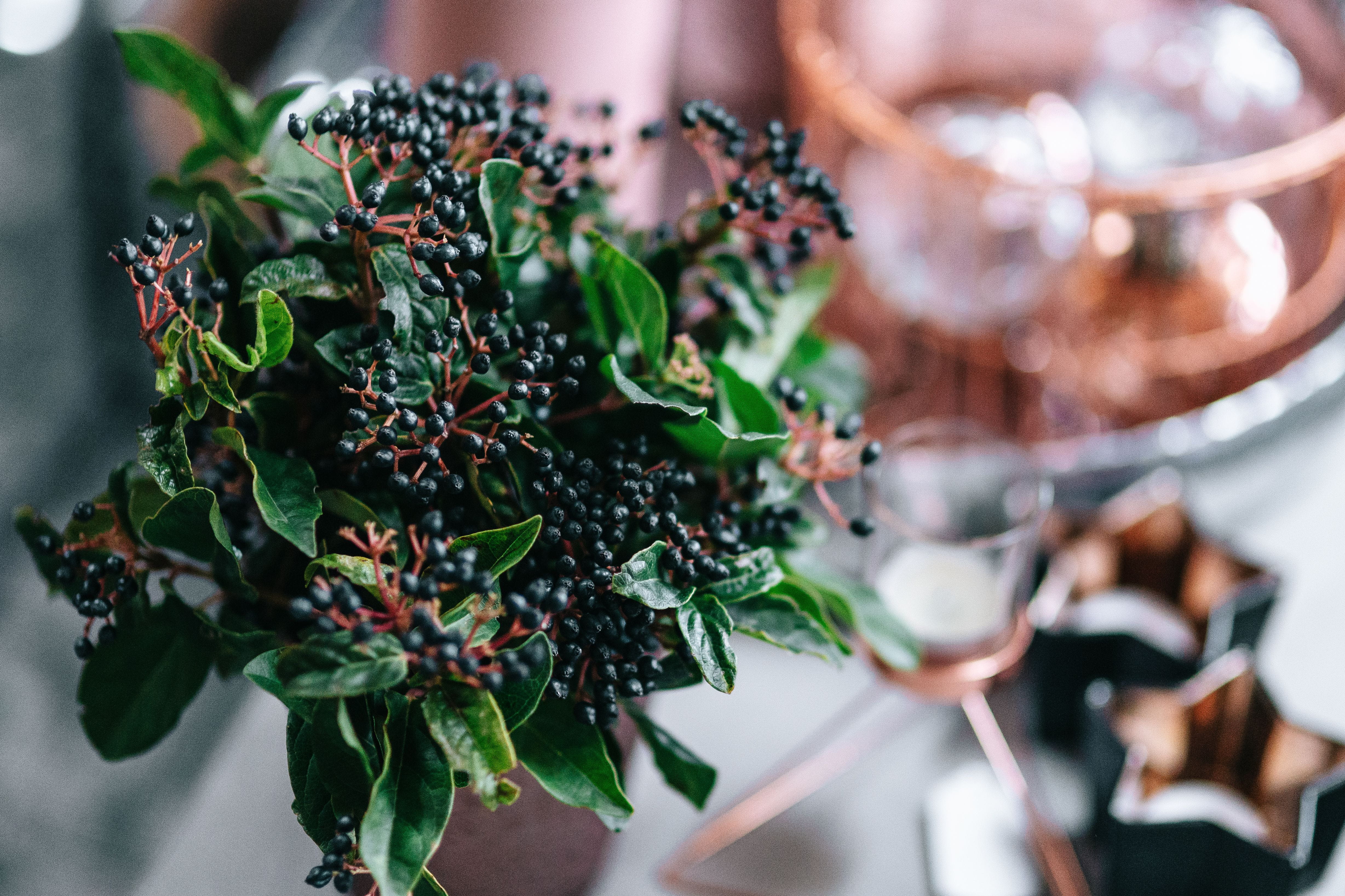 herb, glamour, plant part, leaf, freshness, focus on foreground, selective focus, table, Christmas, decoration, green color, nature, xmas, flower arrangement, HD Wallpaper