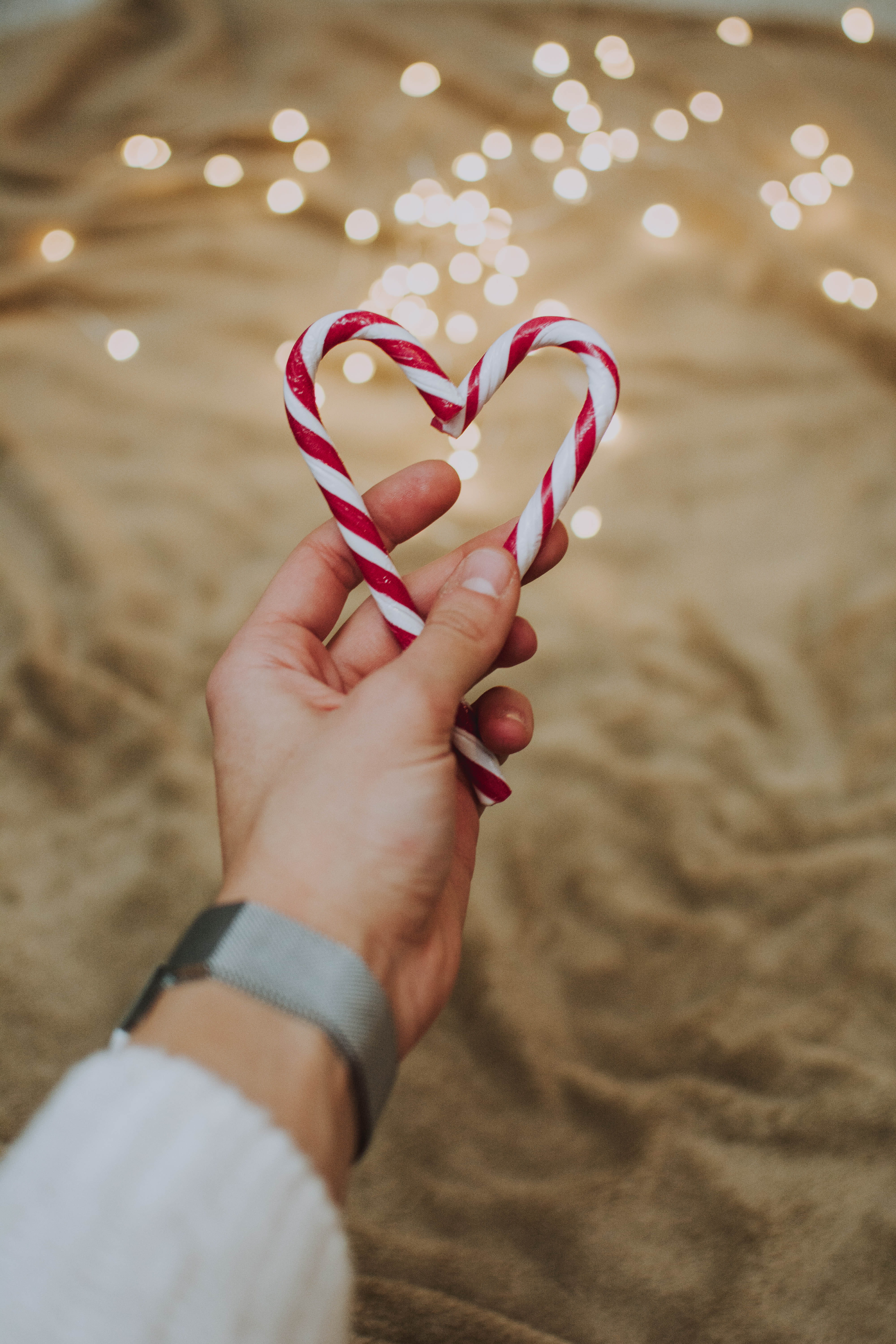 human, human hand, real people, leisure activity, person, trophy, holding, christmas, 5K, body part, human body part, gold, one person, focus on foreground, Phone HD Wallpaper