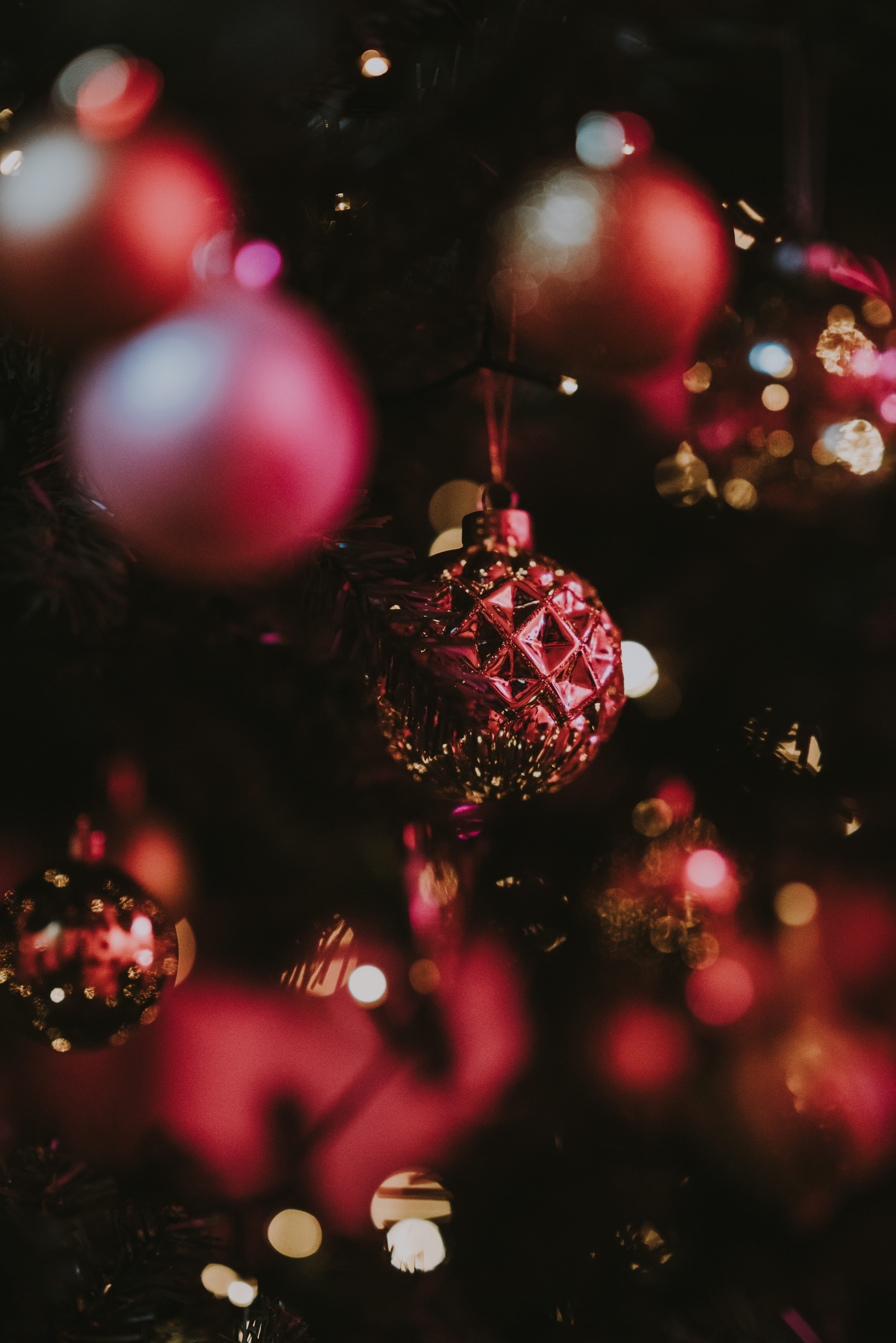 plant, bauble, pattern, light, celebration, celebration event, focus on foreground, no people, christmas tree, decoration, glitter, person, red, festive, Phone HD Wallpaper