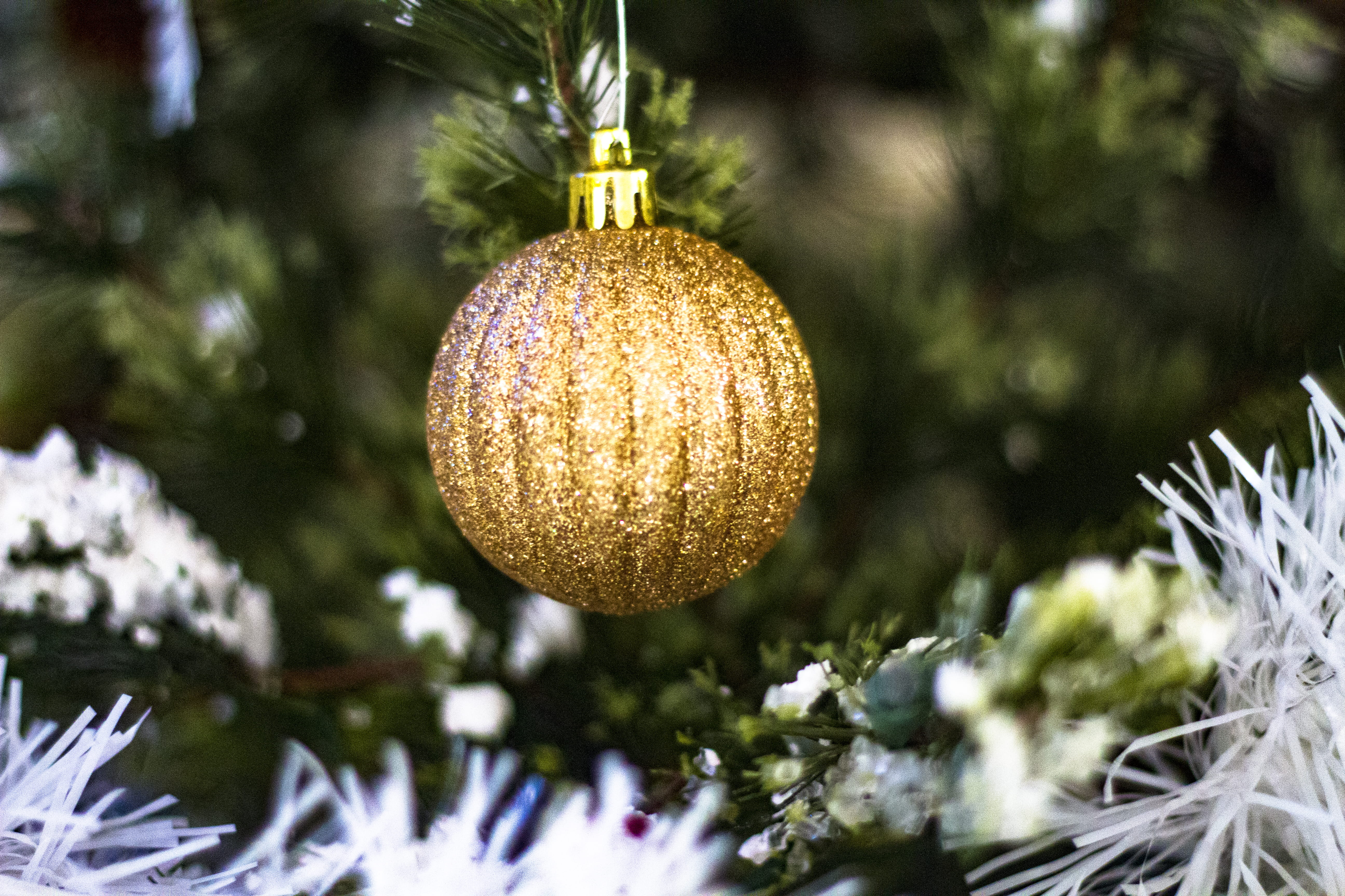tree, gold, selective, holiday, focus, tinsel, christmas decoration, outdoors, no people, pine, photography, decoration, crowd, day, lamp, christmas ornament, HD Wallpaper