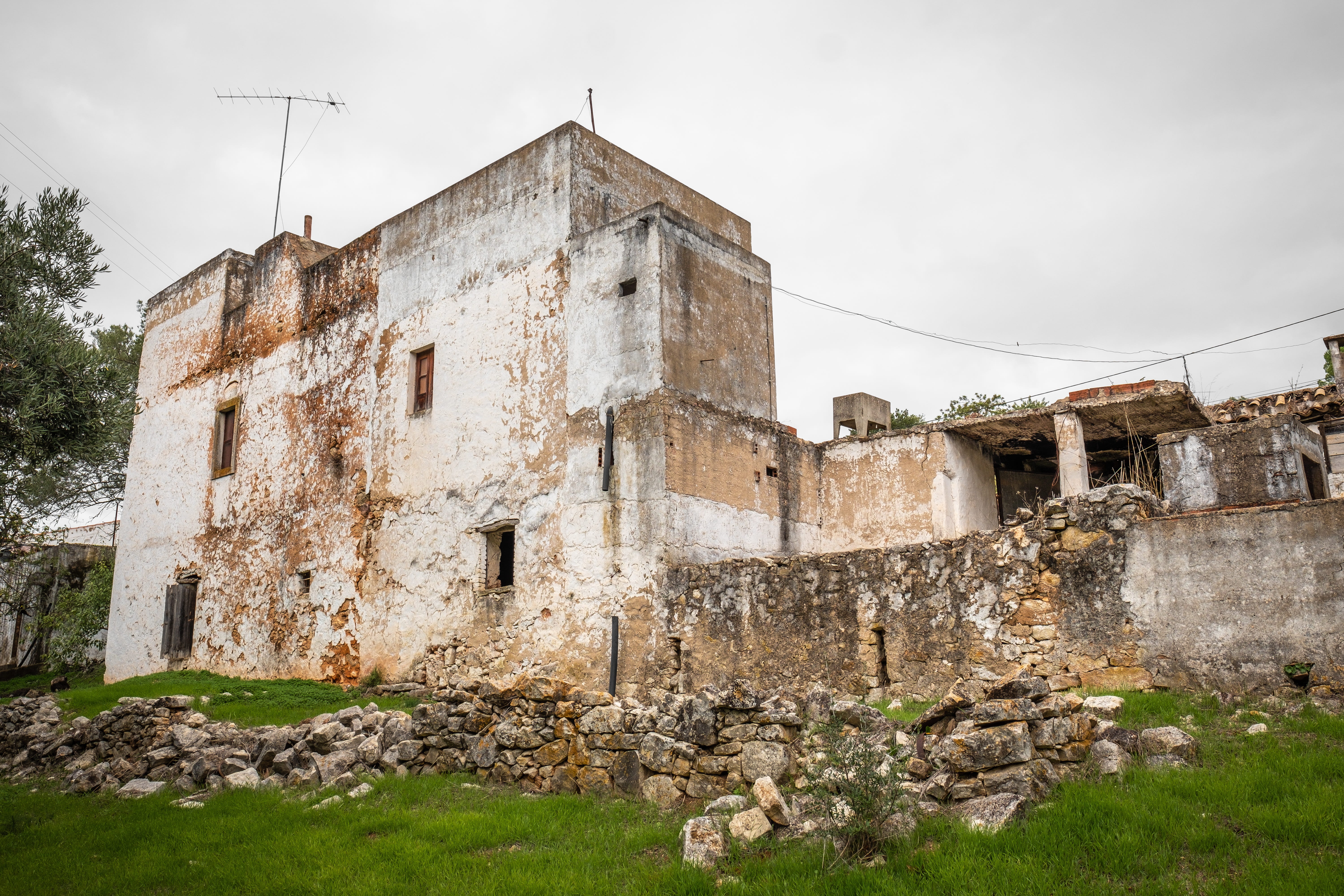 nature, architecture, low angle view, pforphoto, no people, forget, ailing, damaged, wall, broken, sky, stone wall, break up, plant, building, solid, outdoors, HD Wallpaper