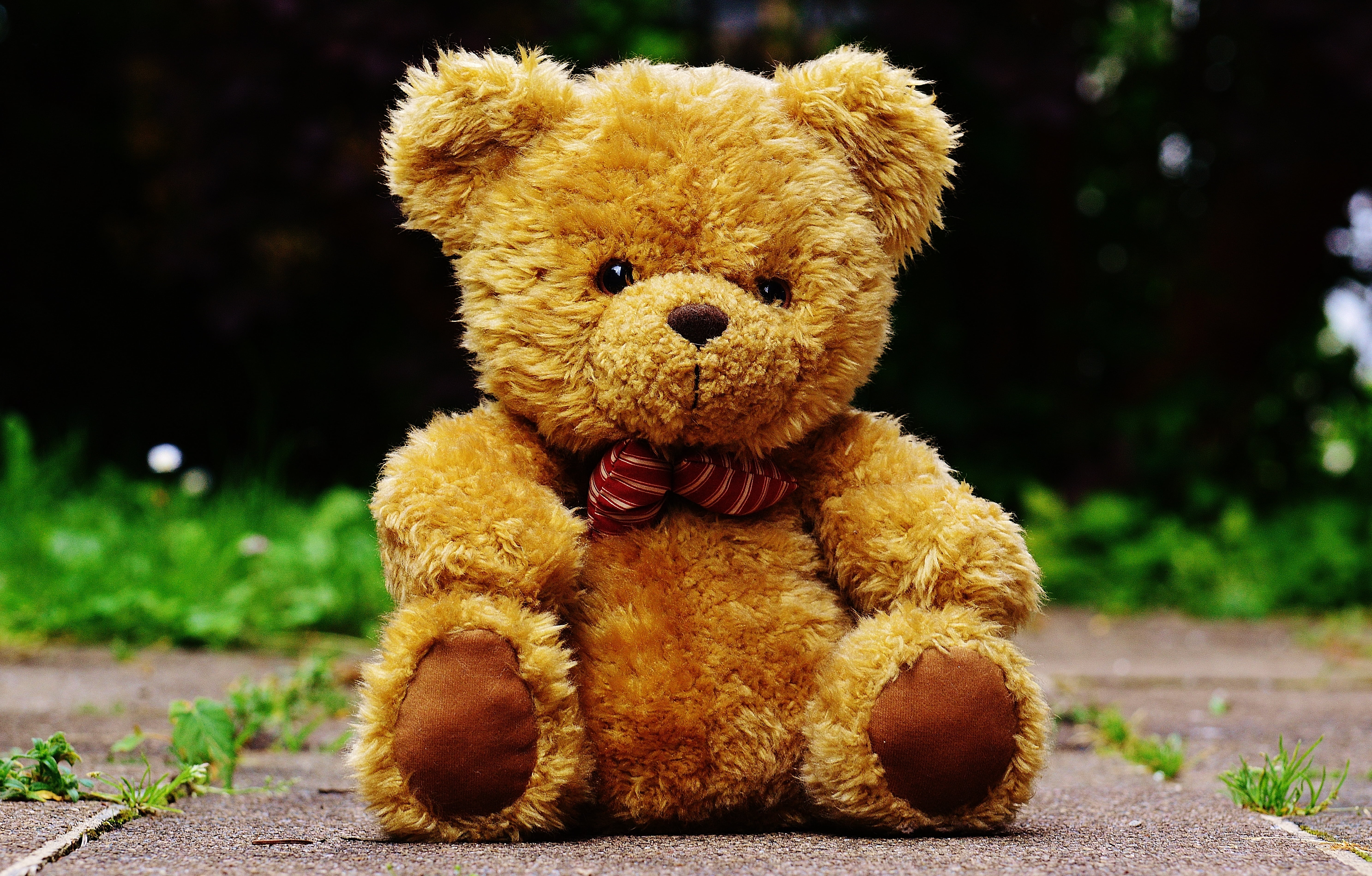 sweet, brown, toy, flooring, gray, love, toys, teddy, nature, single object, fun, soft toy, 5K, day, animal, bears, bear, cute, concrete, animal representation, HD Wallpaper