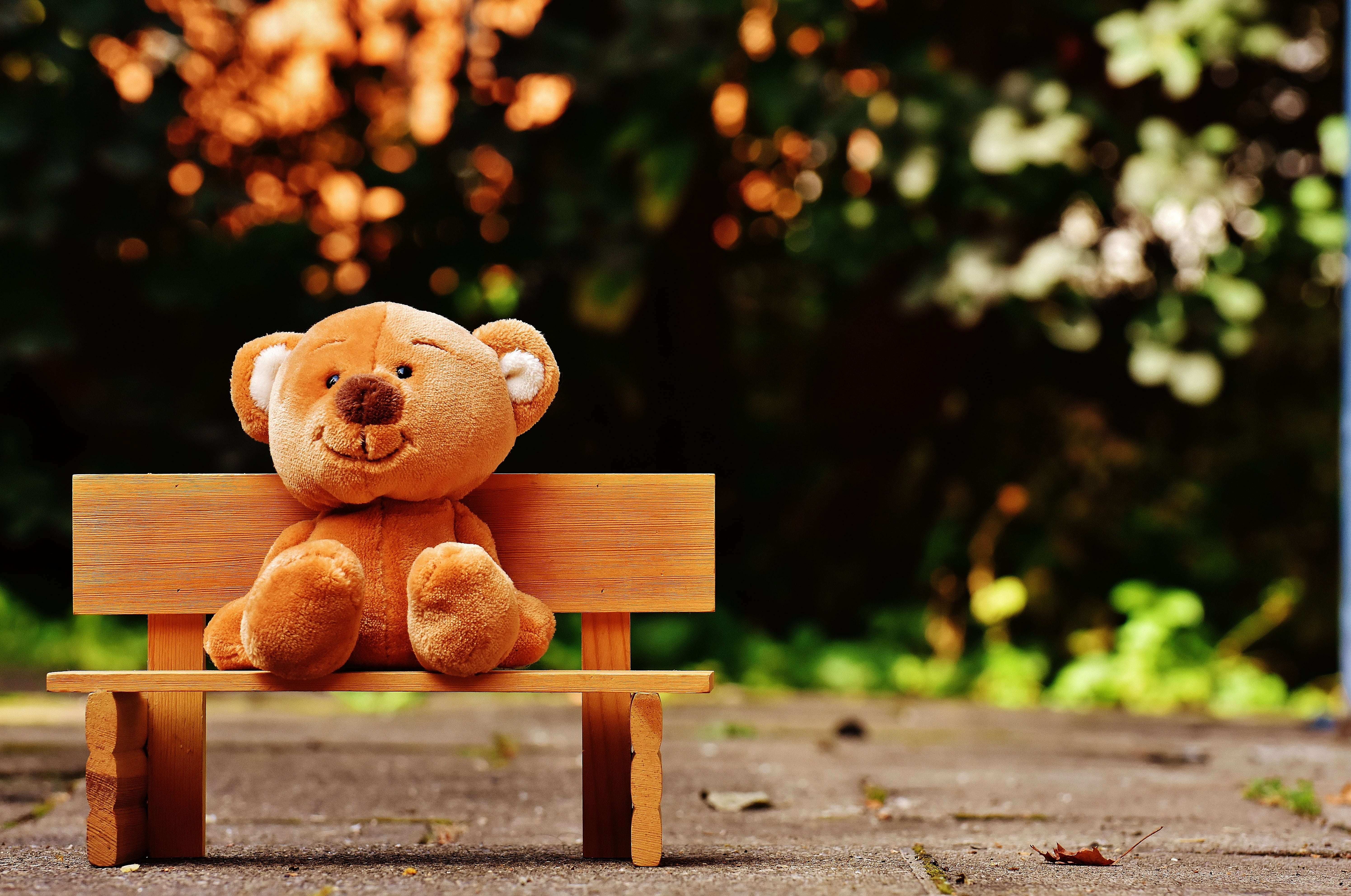 5K, bench, rest, teddy, plant, creativity, park - man made space, softness, children toys, bear, bank, soft toy, day, seat, art and craft, tree, child, HD Wallpaper