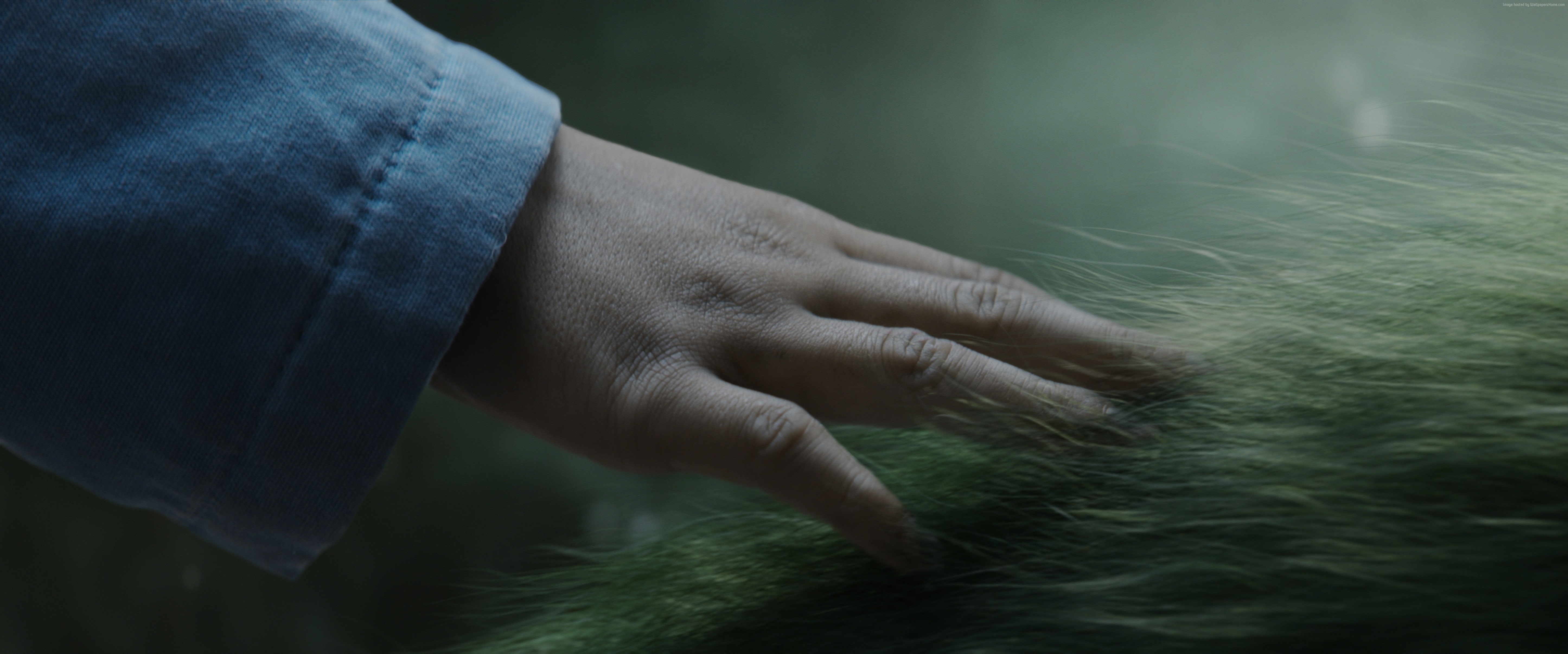 plant, Petes Dragon, nature, men, 5K, focus on foreground, human body part, environment, body part, adult, mature adult, finger, touching, best movies of 2016, HD Wallpaper