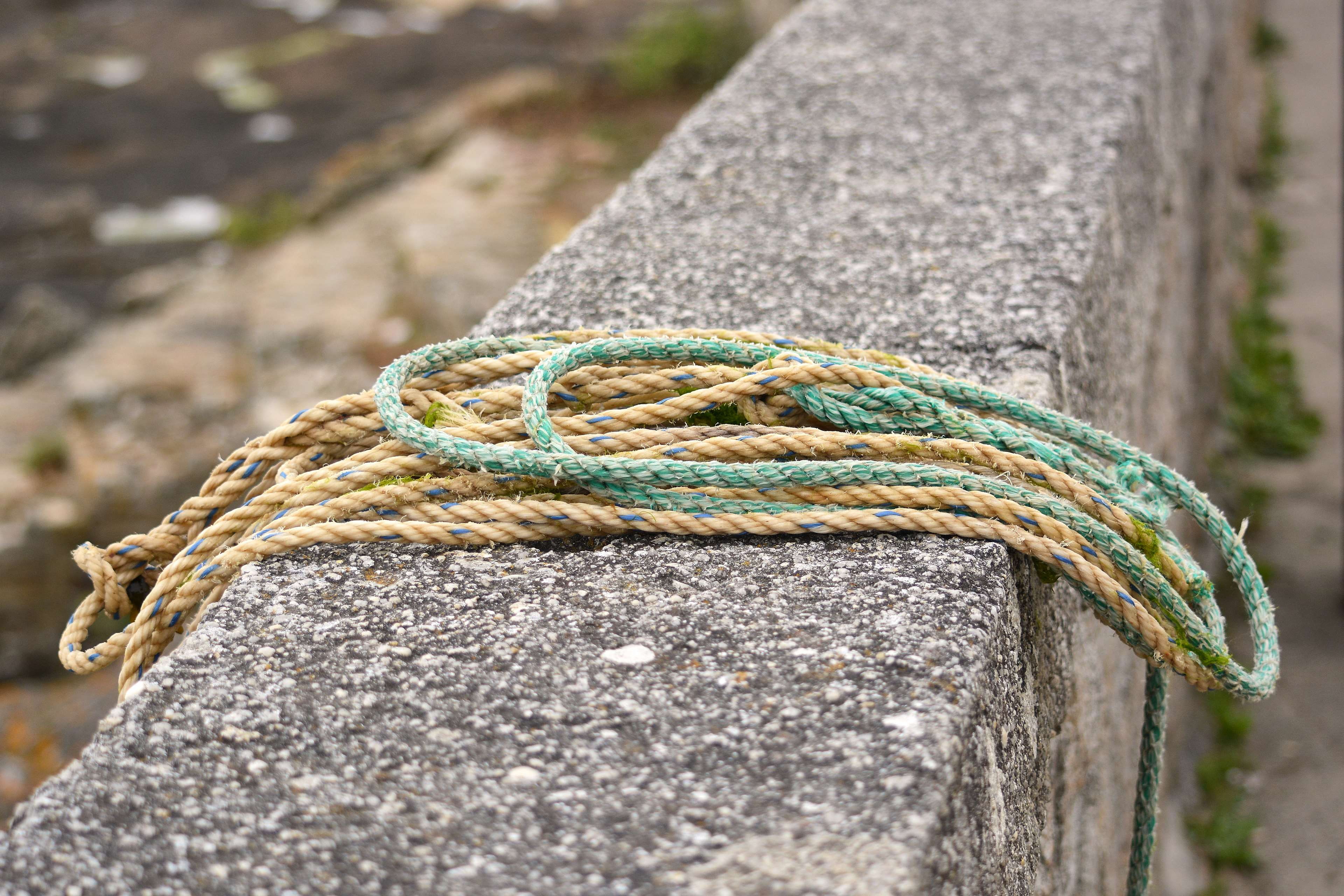 day, privilge, close-up, no people, noeud, tied knot, nature, animal wildlife, connection, tied up, focus on foreground, textured, attache, metal, nouer, HD Wallpaper