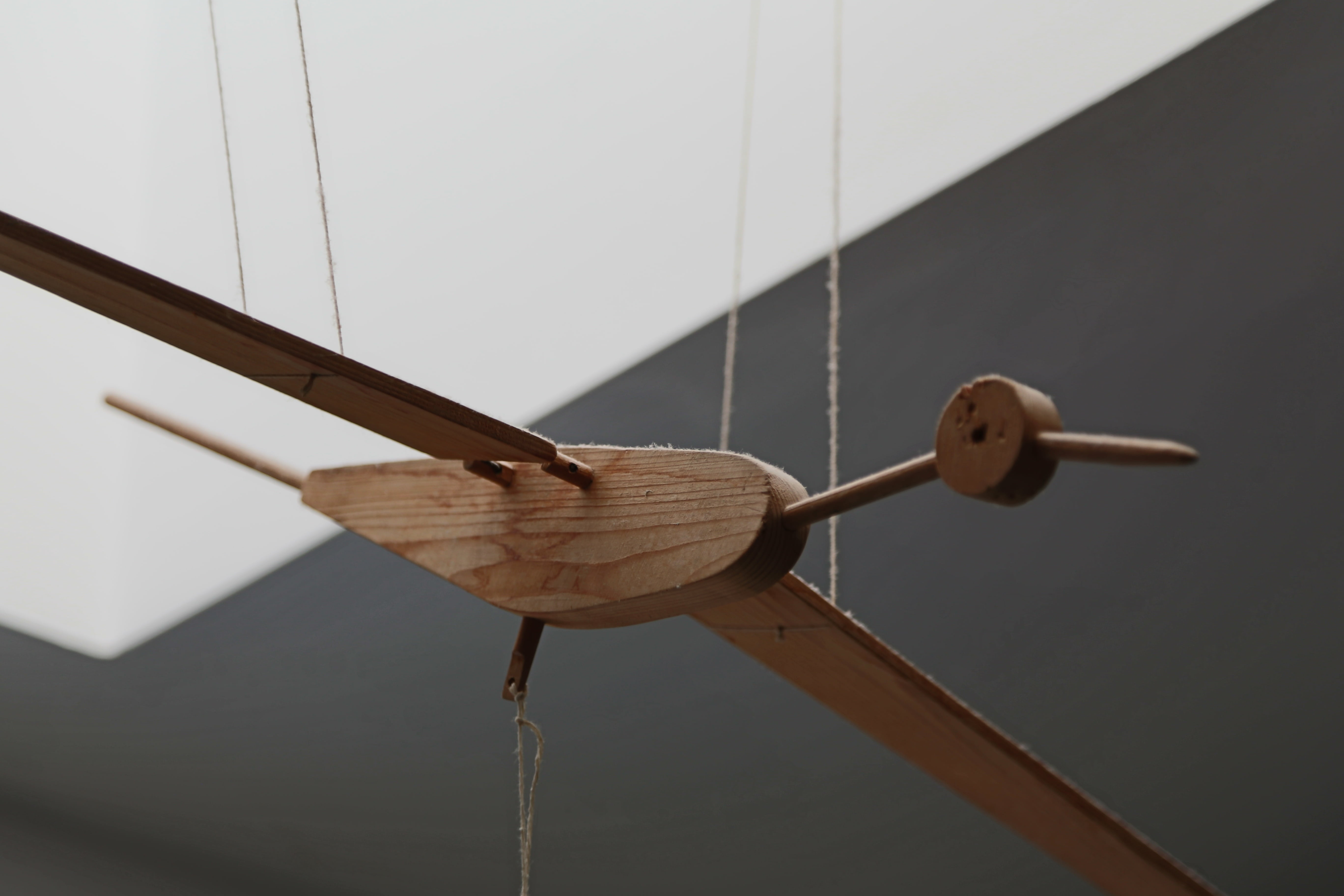 ceiling, wooden, architecture, built structure, close-up, retro, nature, vintage, attached, bird, hanging, cable, 5K, low angle view, design, child, rope, HD Wallpaper
