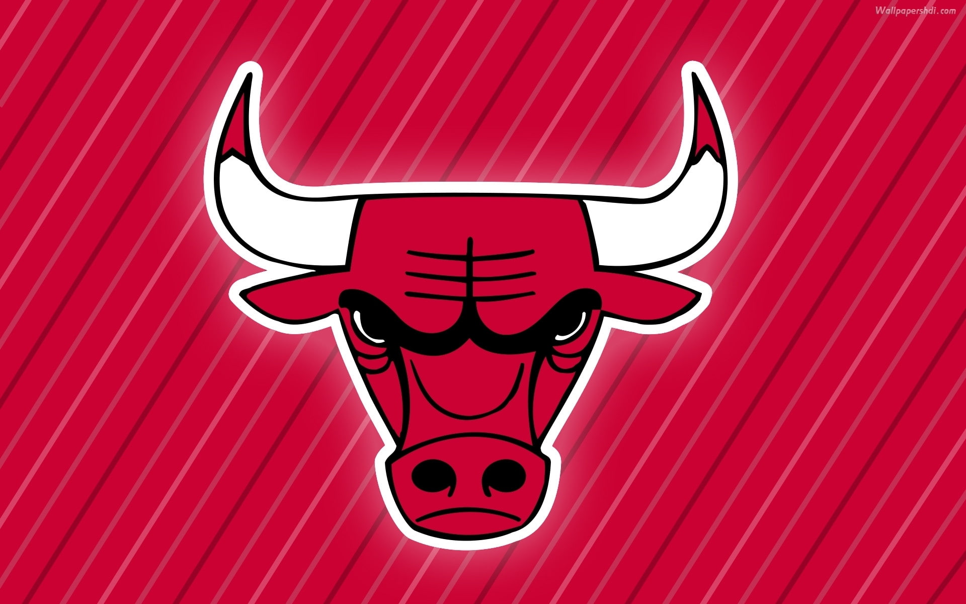 bulls, 1080P, background, Chicago Bulls, twitter, 4k pics, 1920x1200, HD Wallpaper