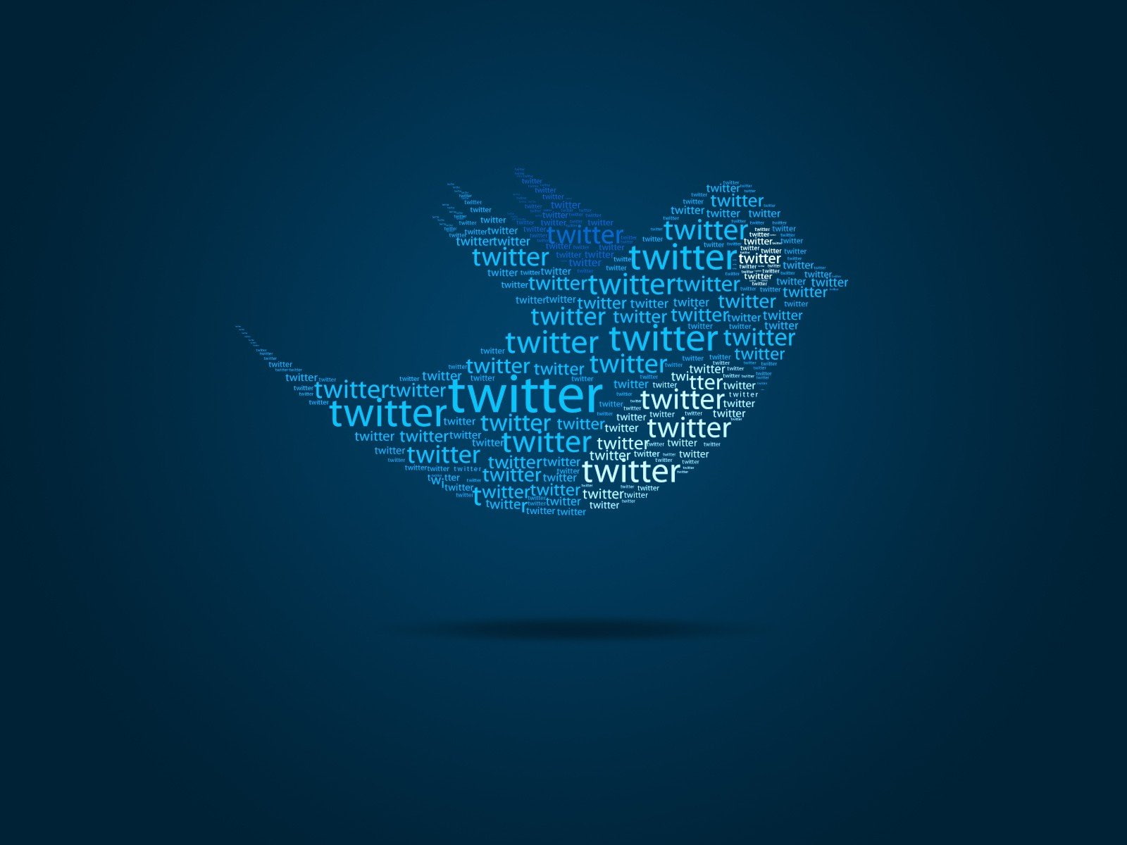720P, typography, twitter, HD Wallpaper