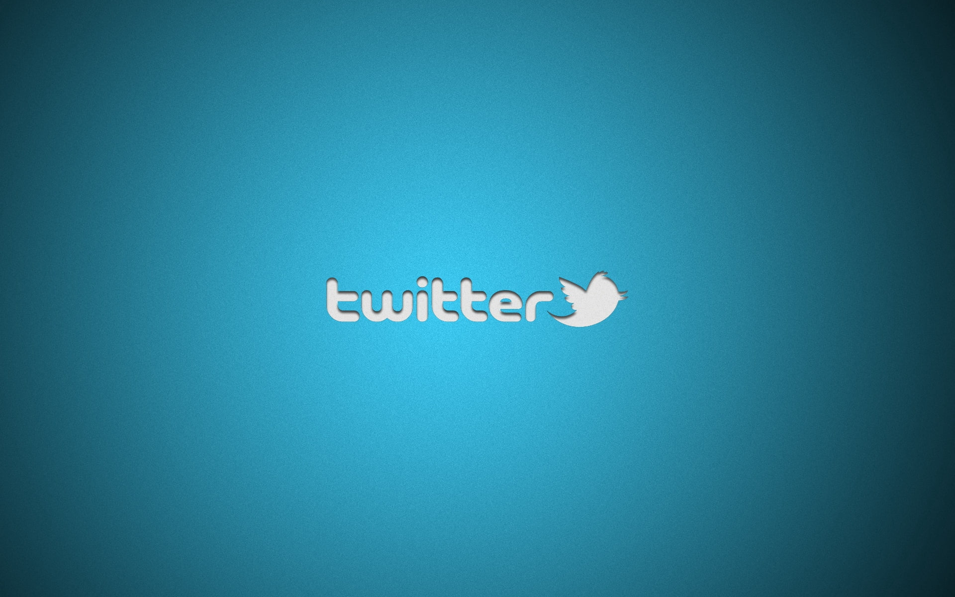 1080P, bird, white, twitter, microblogging, HD Wallpaper