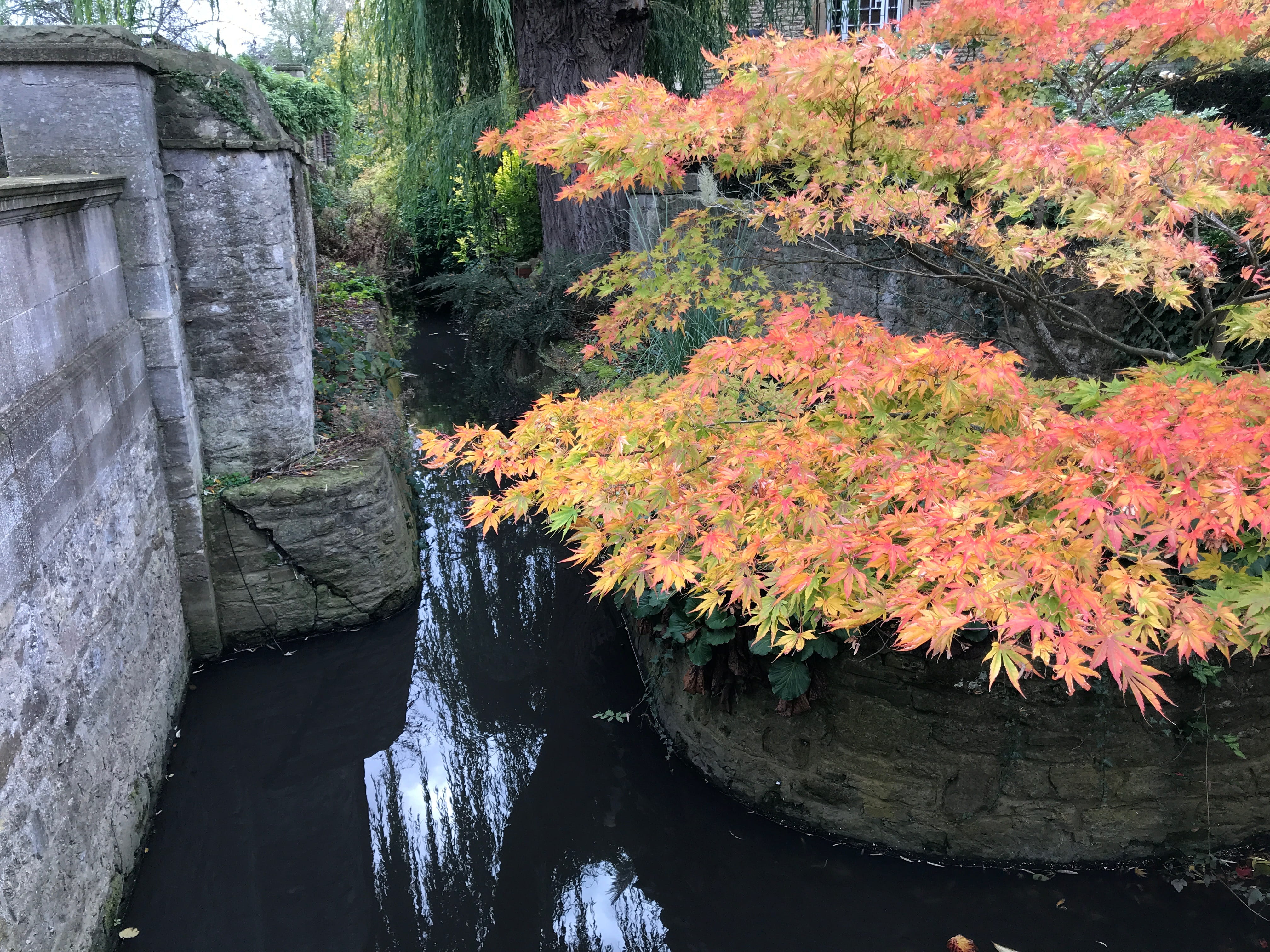 change, solid, fall colors on trees, tranquility, nature, plant, united kingdom, water, flowing water, tree and water, maple tree, architecture, 4K, rock, HD Wallpaper