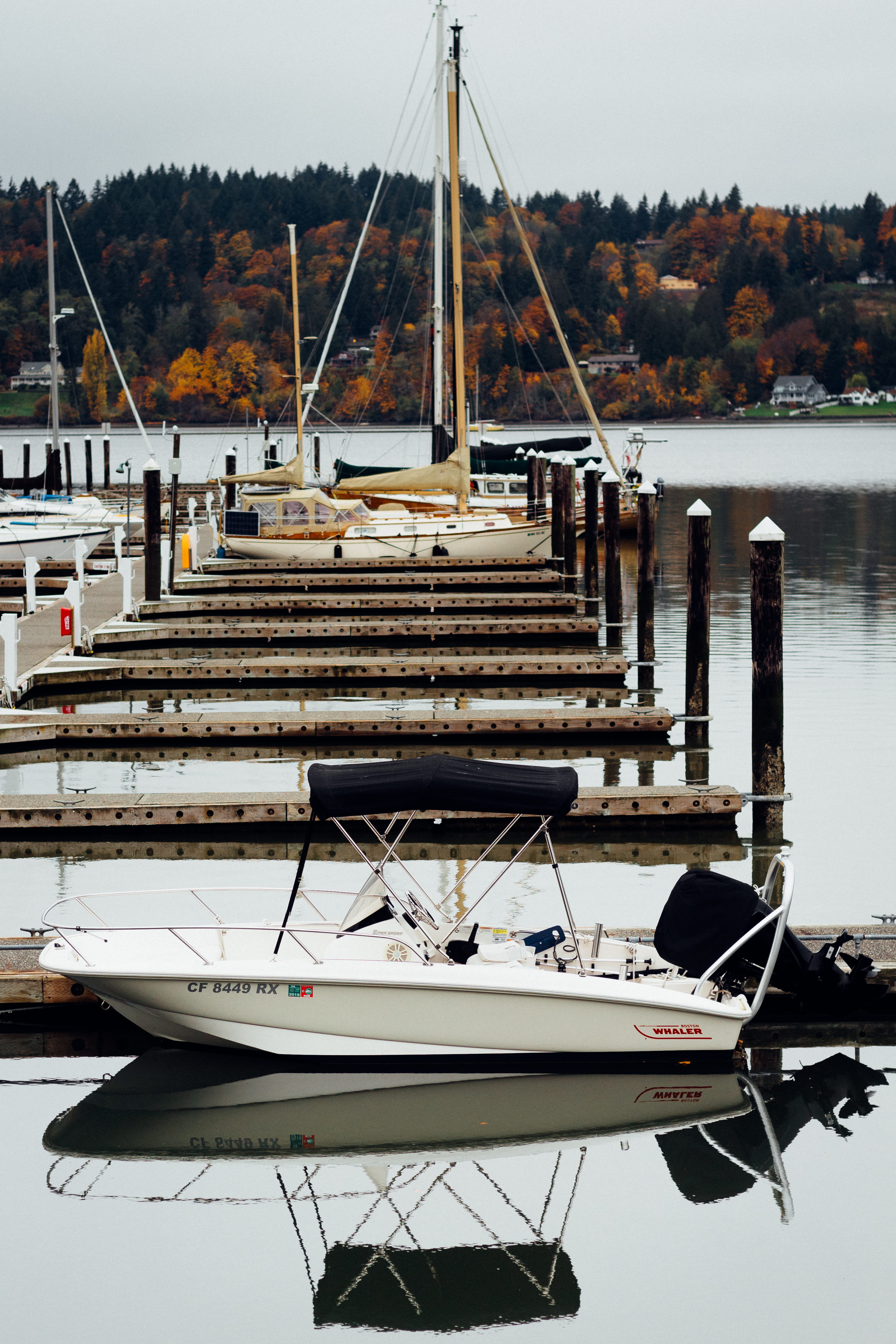 united states, tree, day, marina, sky, port, sailboat, nature, vehicle, building, architecture, boat, yacht, wooden, mast, moored, water, vessel, waterfront, Phone HD Wallpaper