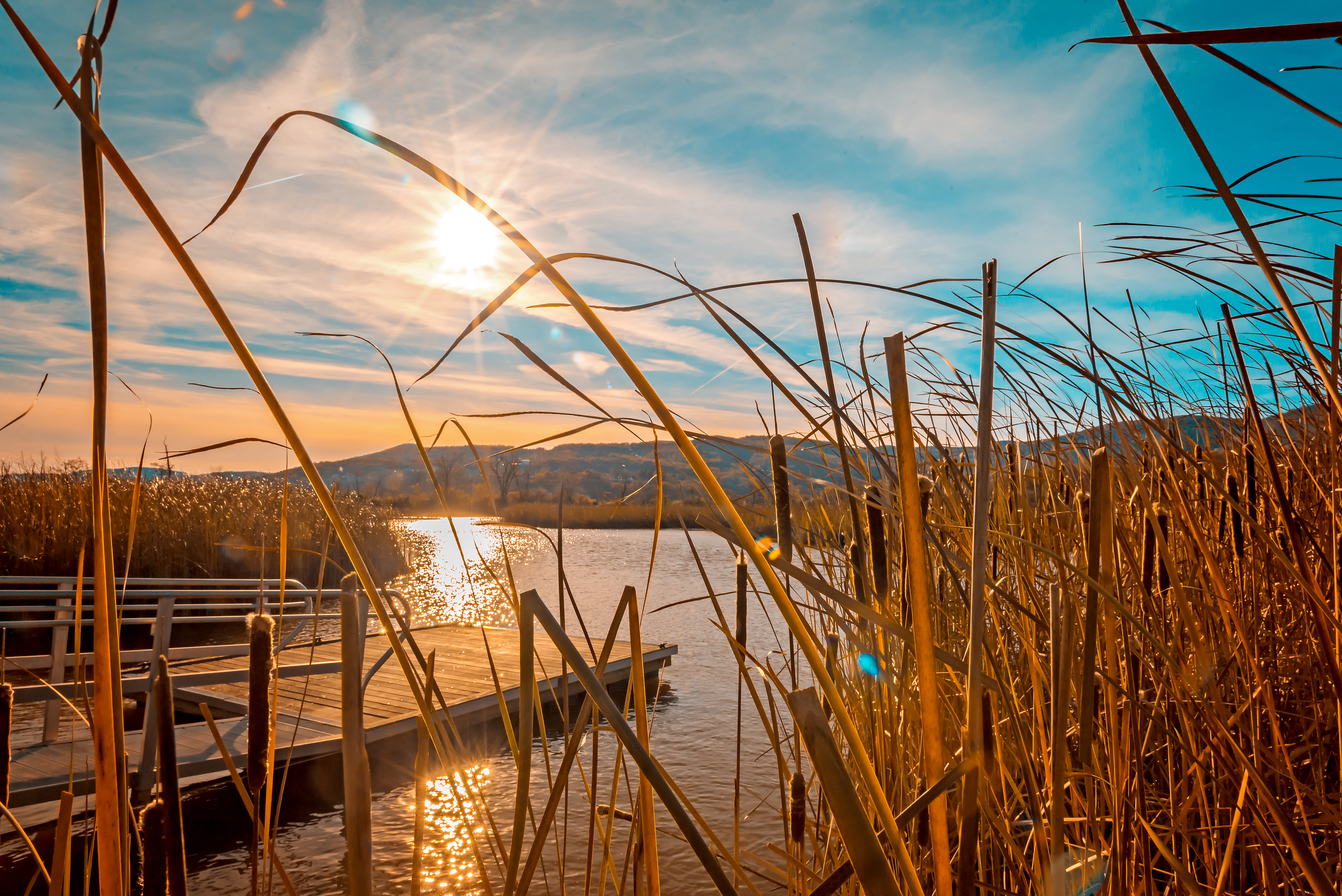 dock, land, cloud - sky, timothy grass, sky, outdoors, marram grass, surrounded, beauty in nature, sea, vegetable, food, waterfront, reed, produce, vehicle, HD Wallpaper
