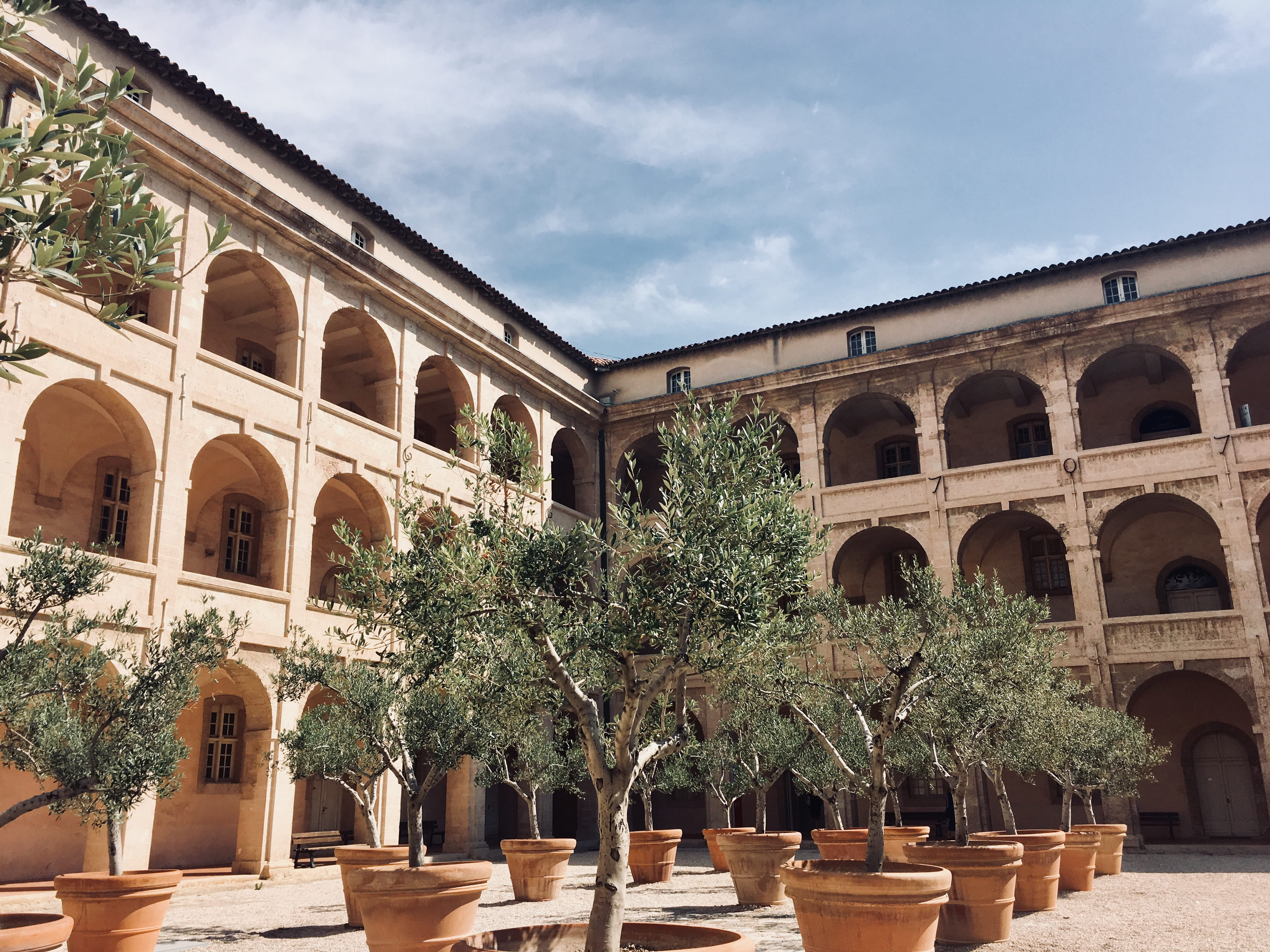 sky, outdoors, growth, arch, the past, in a row, courtyard, no people, france, tree, palm tree, window, building, architectural column, low angle view, HD Wallpaper