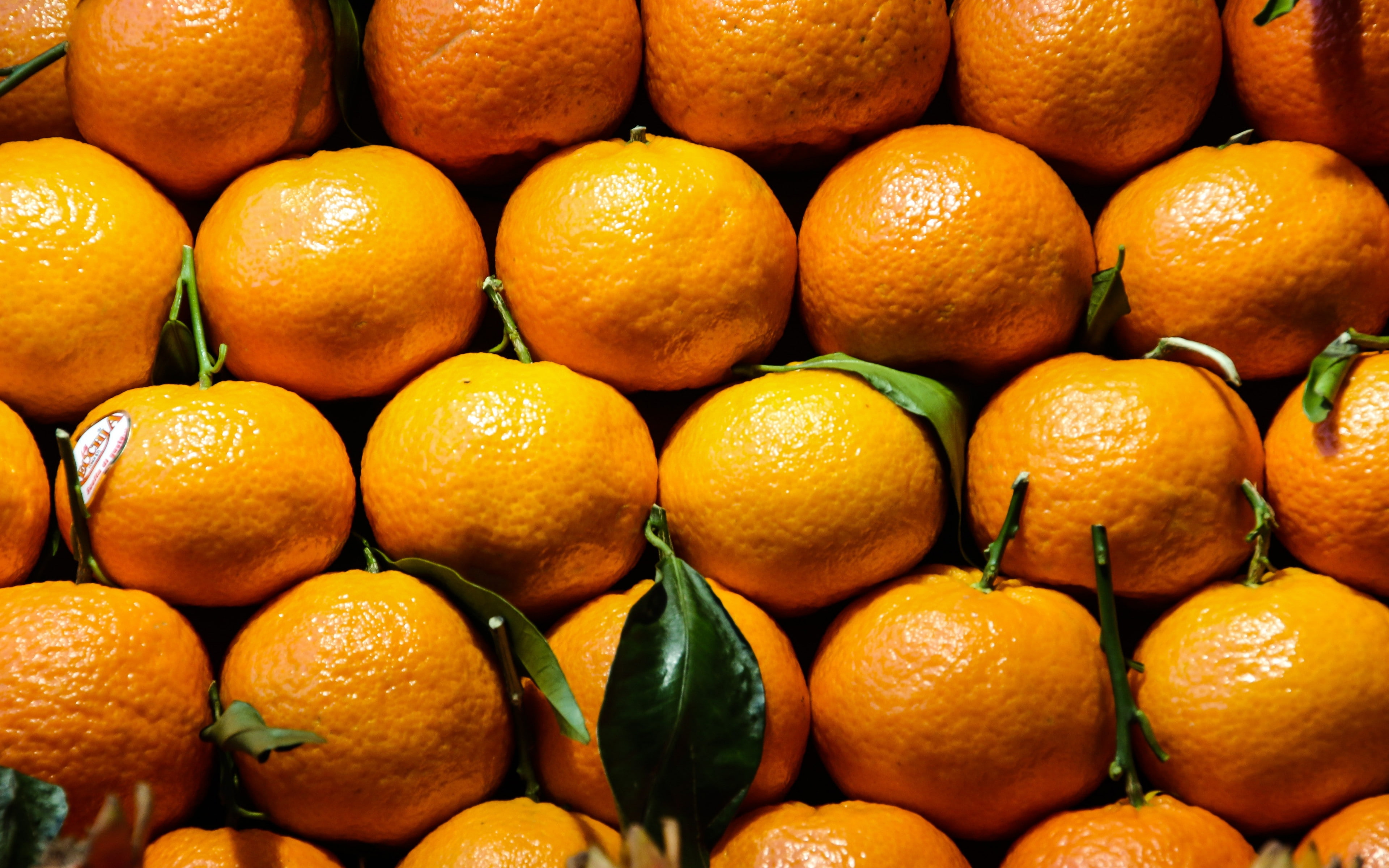 vitamins, 4K, fruit, citrus backgrounds, Download 3840x2400 Tangerine, tangerine, HD Wallpaper