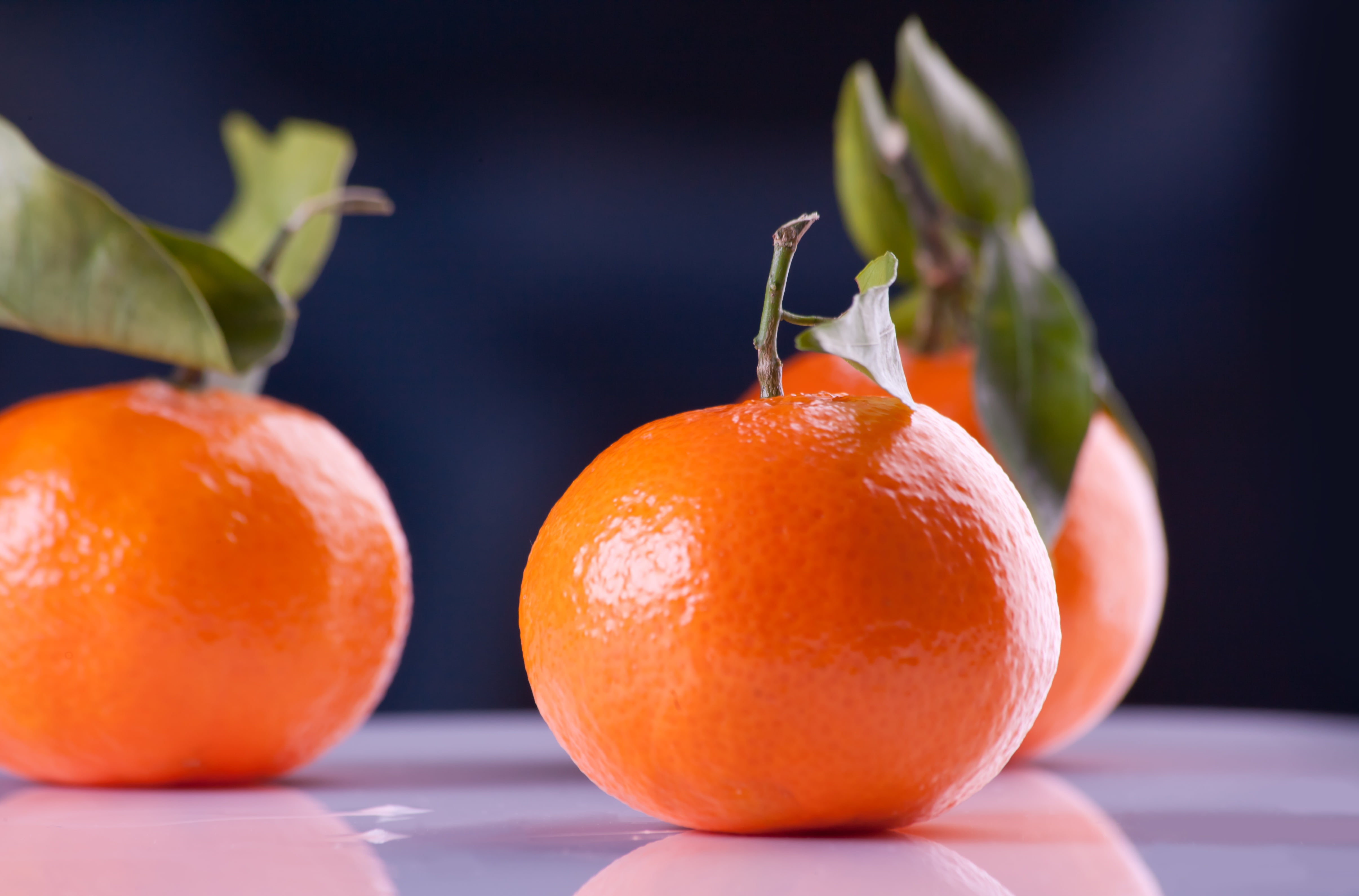 close-up, wellbeing, three, leaf, refreshment, dieting, no People, fruits, tangerine, nature, ripe, poncan, reflection, food, branch, 4K, fruit, juicy, HD Wallpaper