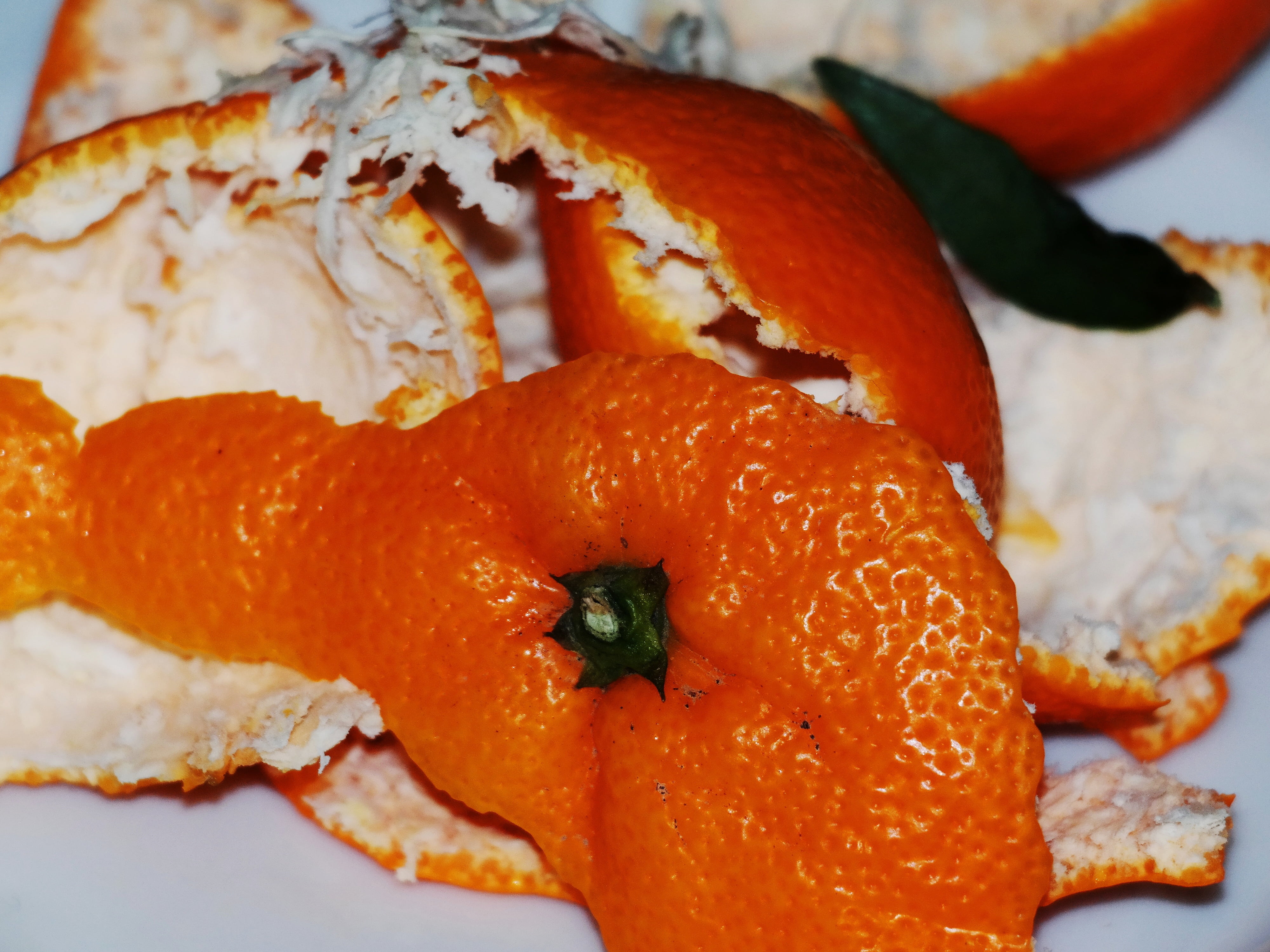 shell, indoors, orange color, food and drink, no people, waste, garnish, fruit, freshness, close-up, still life, healthy eating, leaf, orange peel, temptation, HD Wallpaper