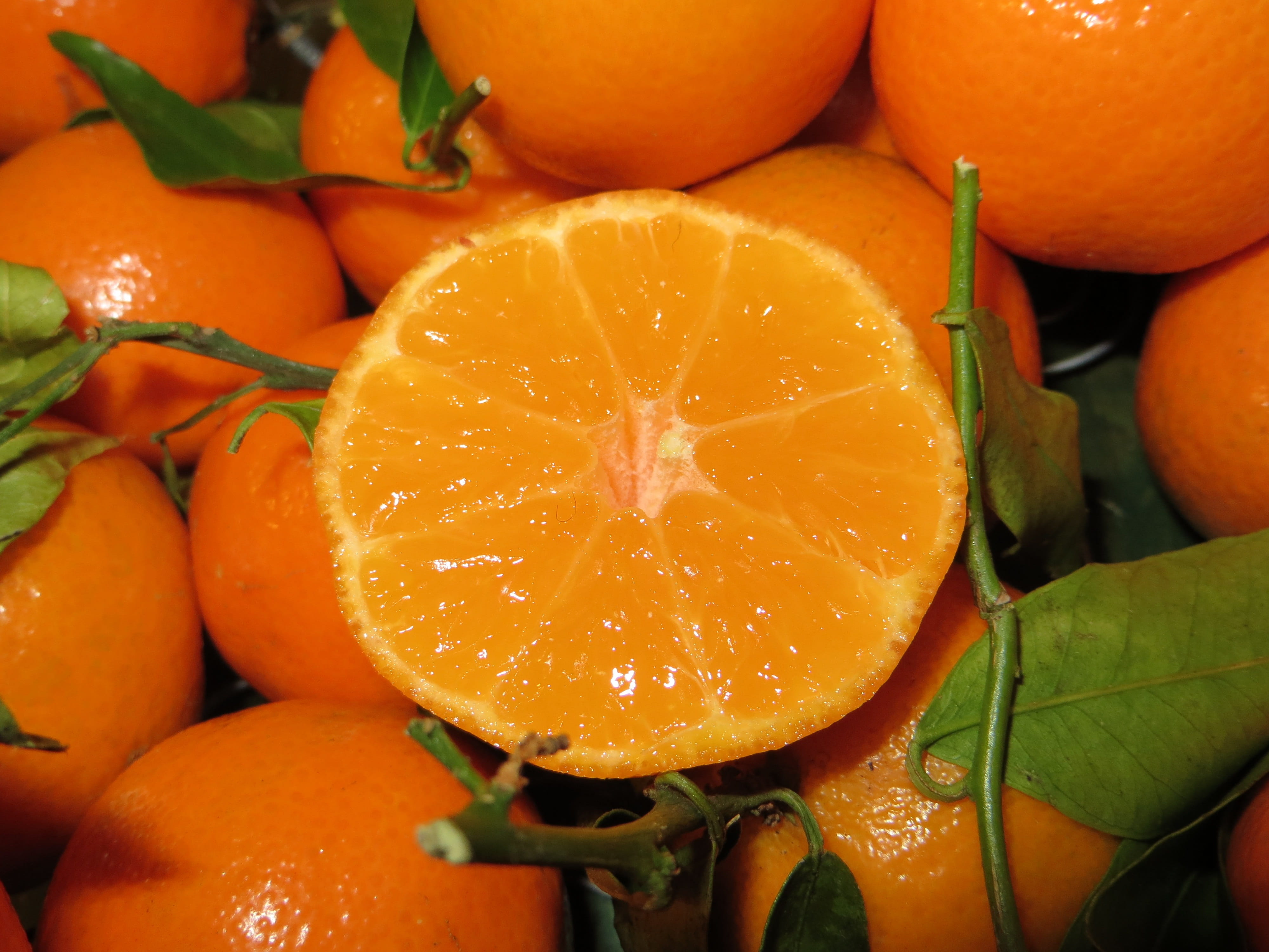citrus fruit, food and drink, food, wellbeing, mandarins, juicy, orange color, green, ripe, orange, healthy eating, freshness, indoors, plant part, close-up, HD Wallpaper
