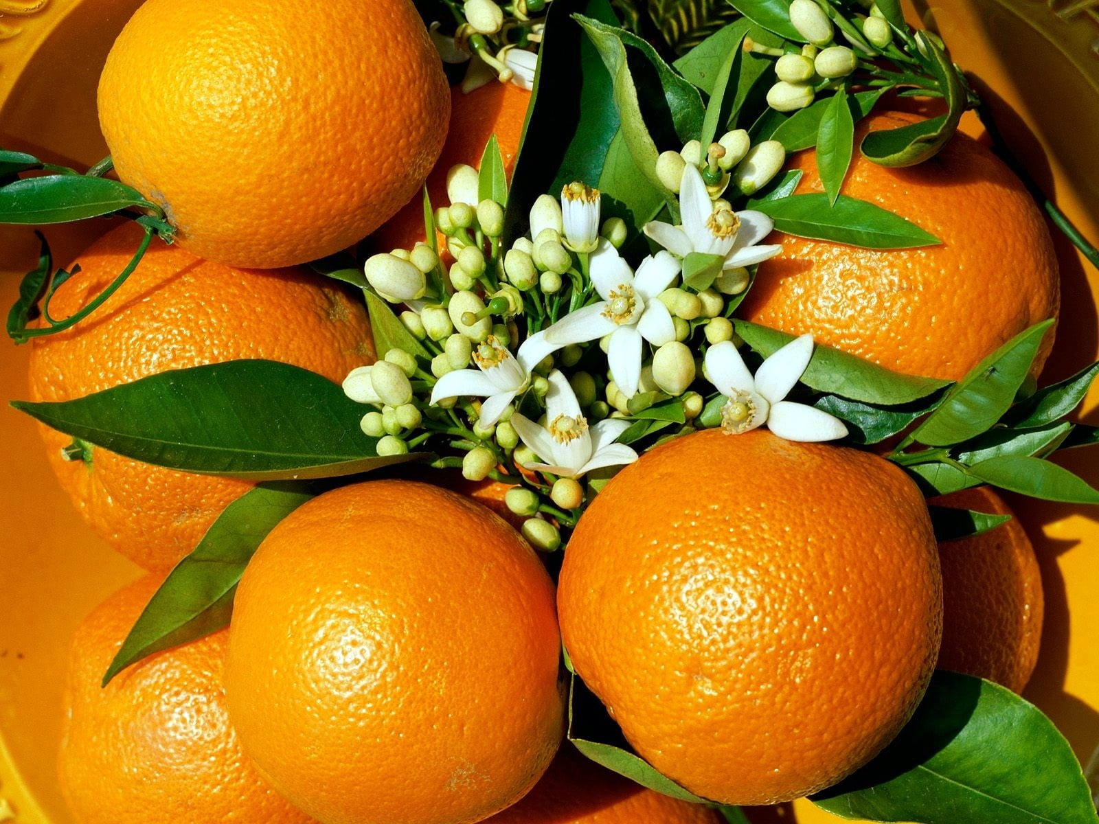 wellbeing, summer, plant part, green Color, mandarin Orange, orange, vegetarian Food, nature, petaled, leaf, fruits, sweet Food, backgrounds, dieting, orange - Fruit, HD Wallpaper