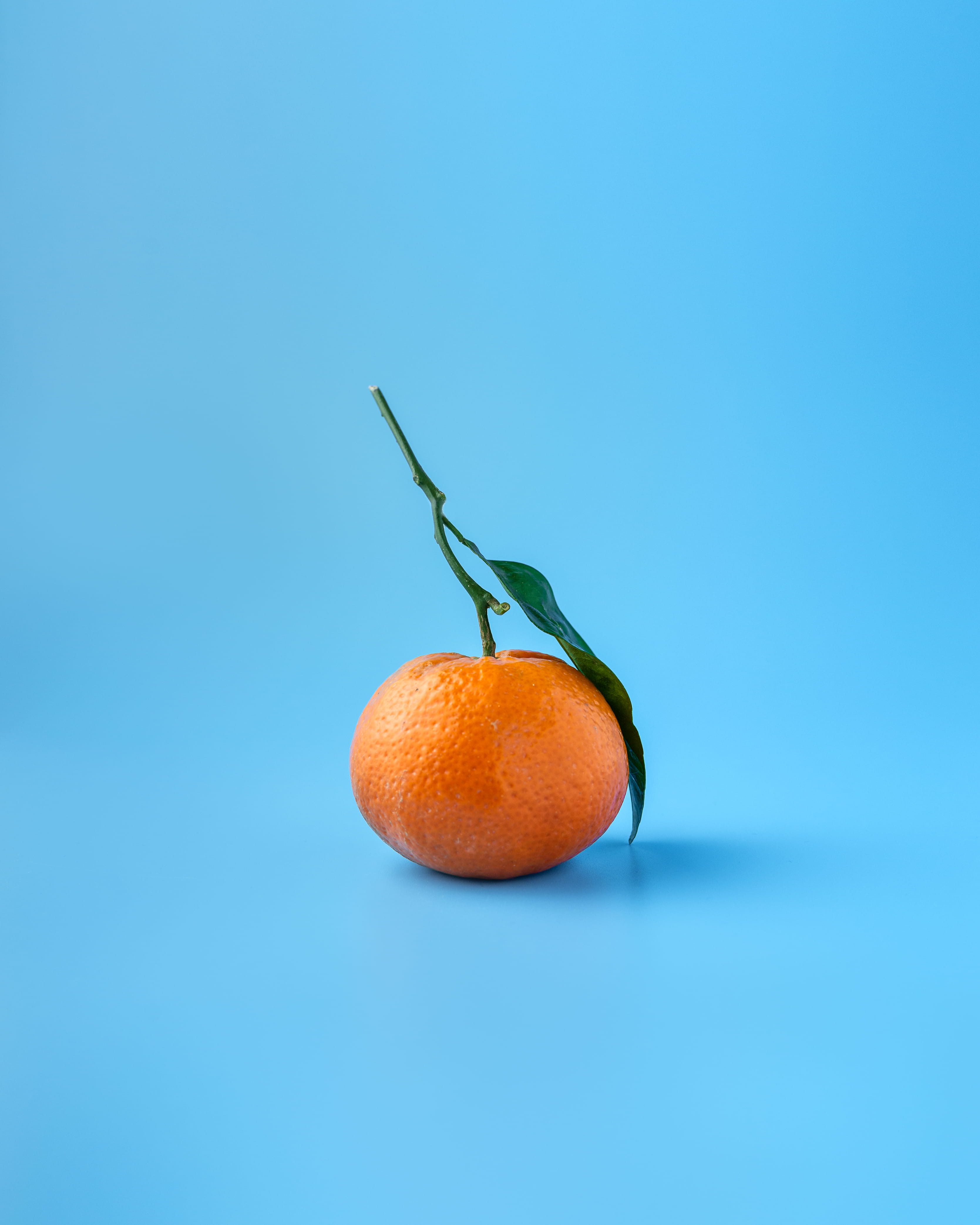 single object, grapefruit, blue, indoors, citrus fruit, tangerine, wellbeing, plant part, juicy, ripe, food, no people, background, plant, healthy eating, Phone HD Wallpaper